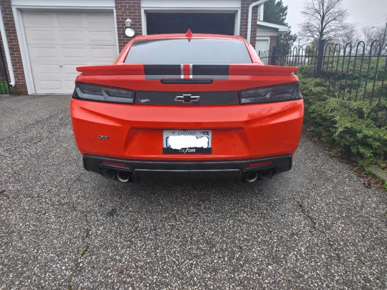 Back
