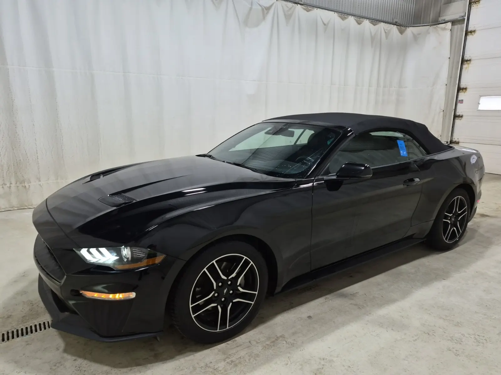 2023 Ford Mustang