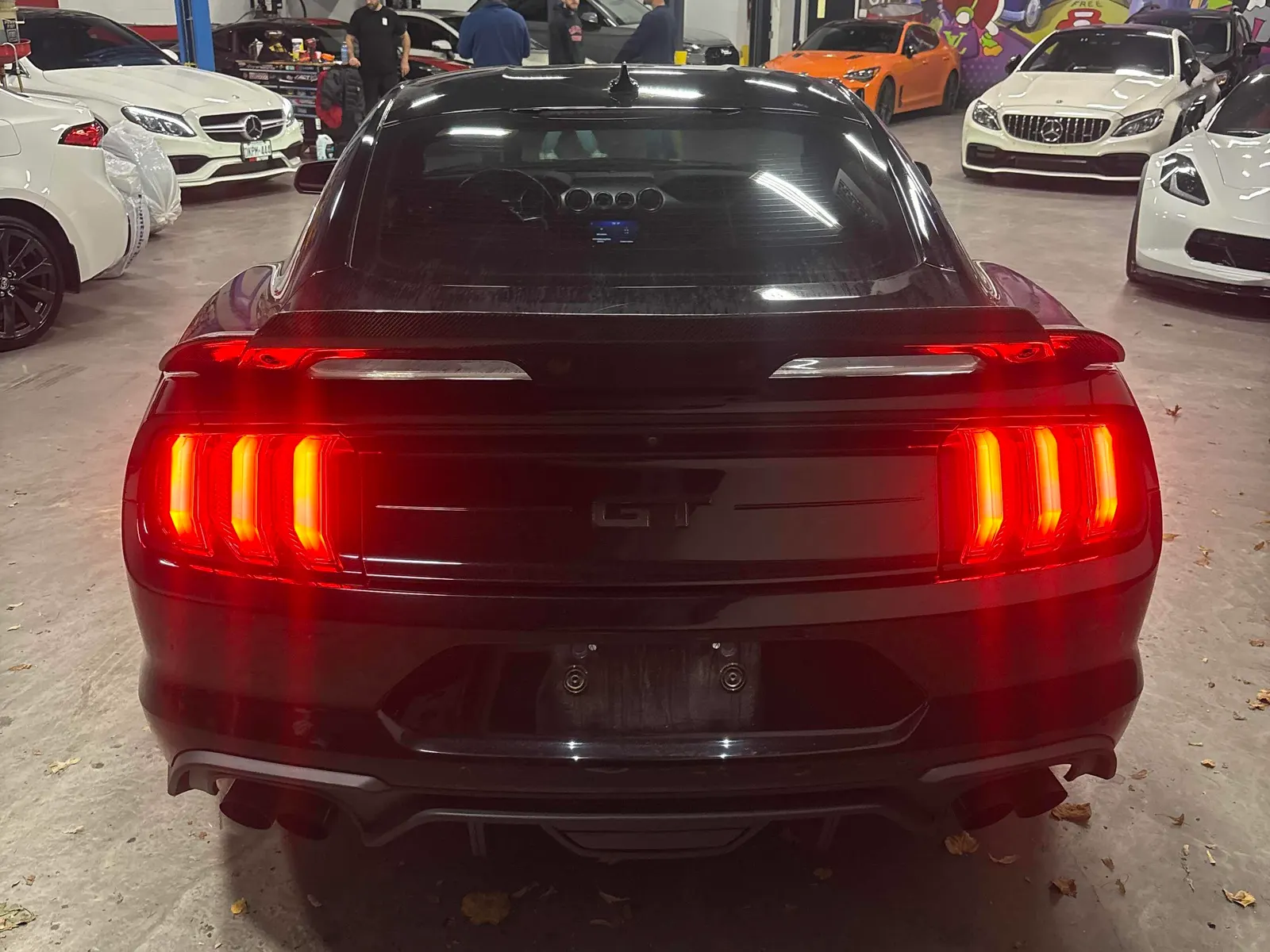 Back