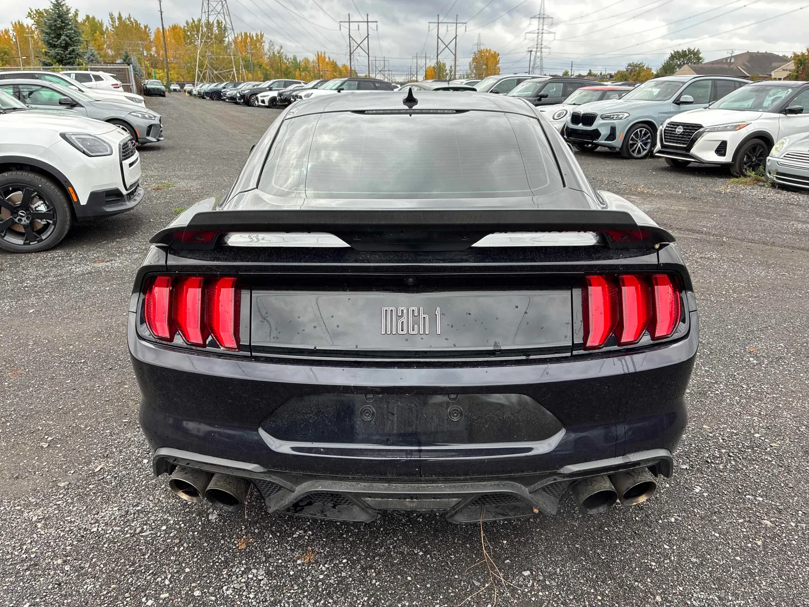 Back