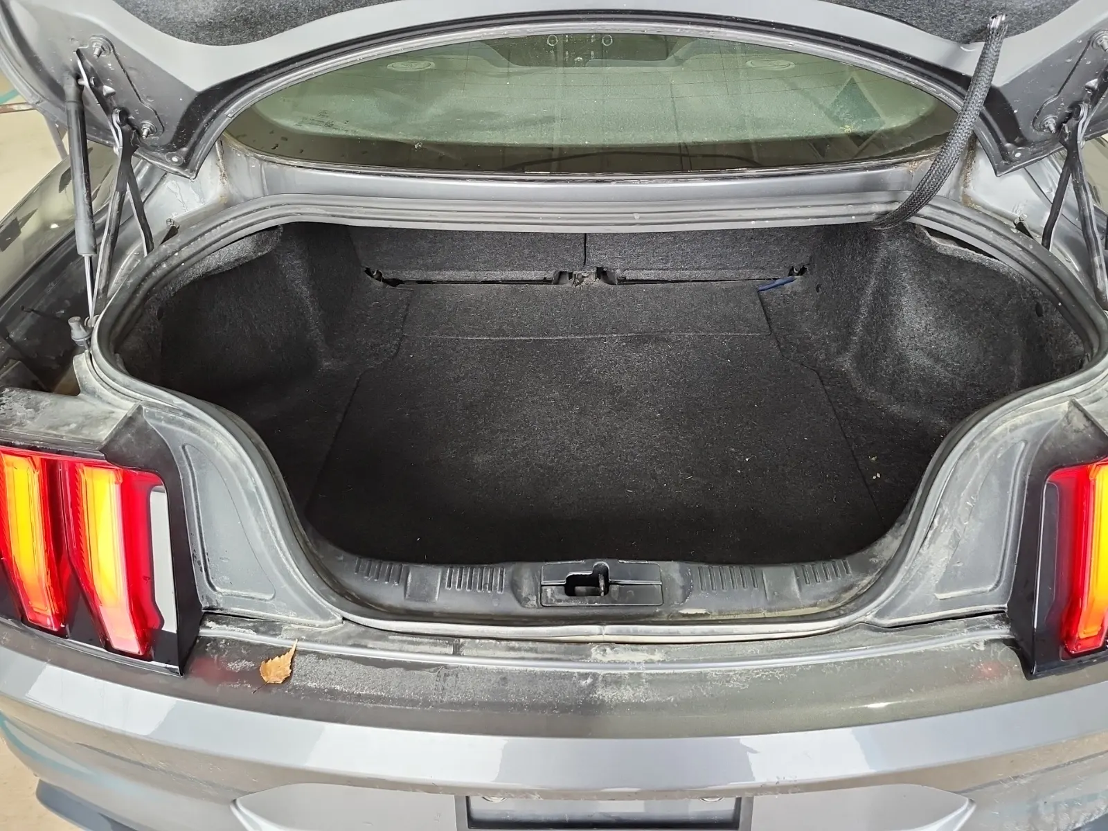 Cargo Area Photo