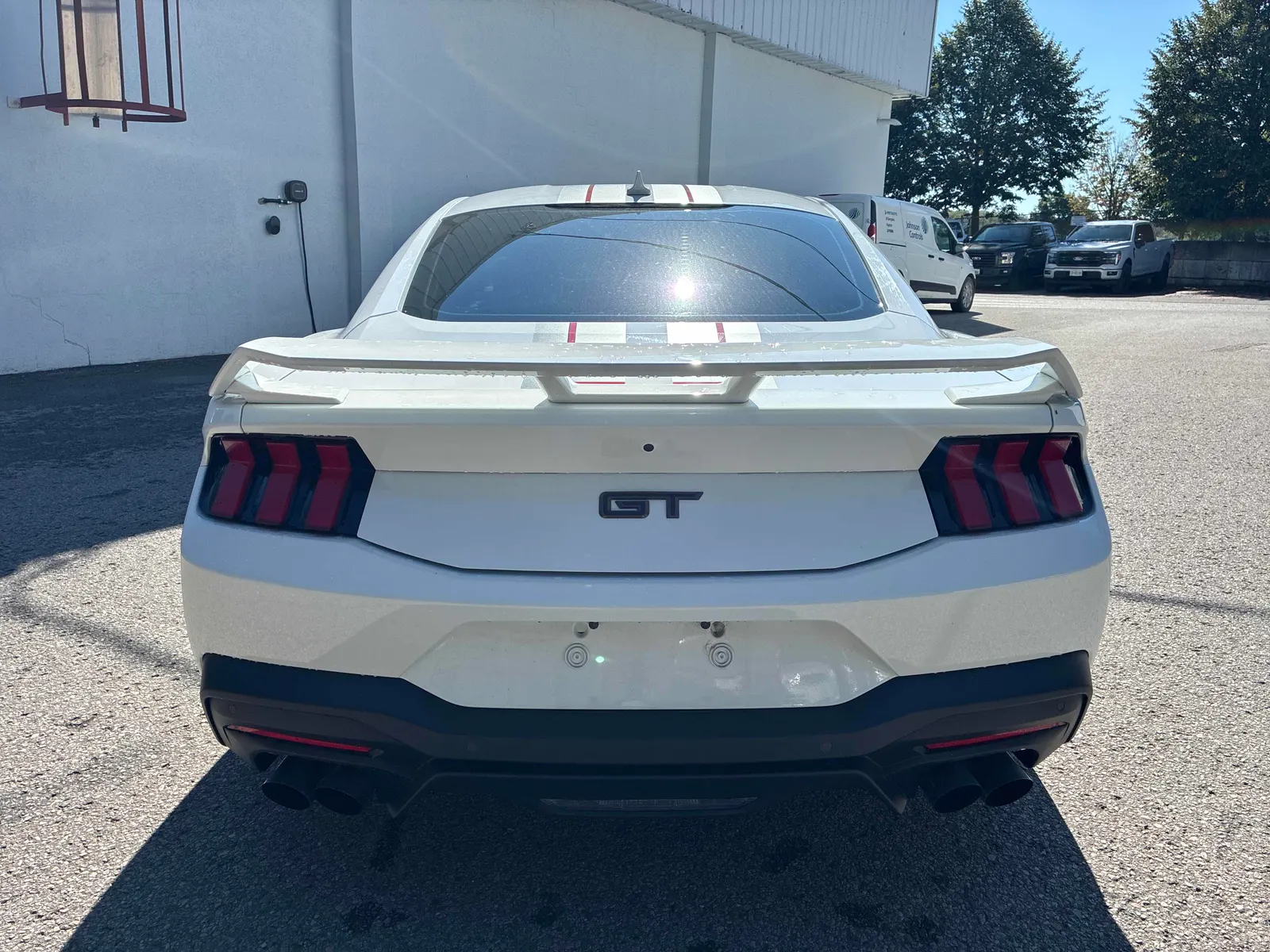 Back