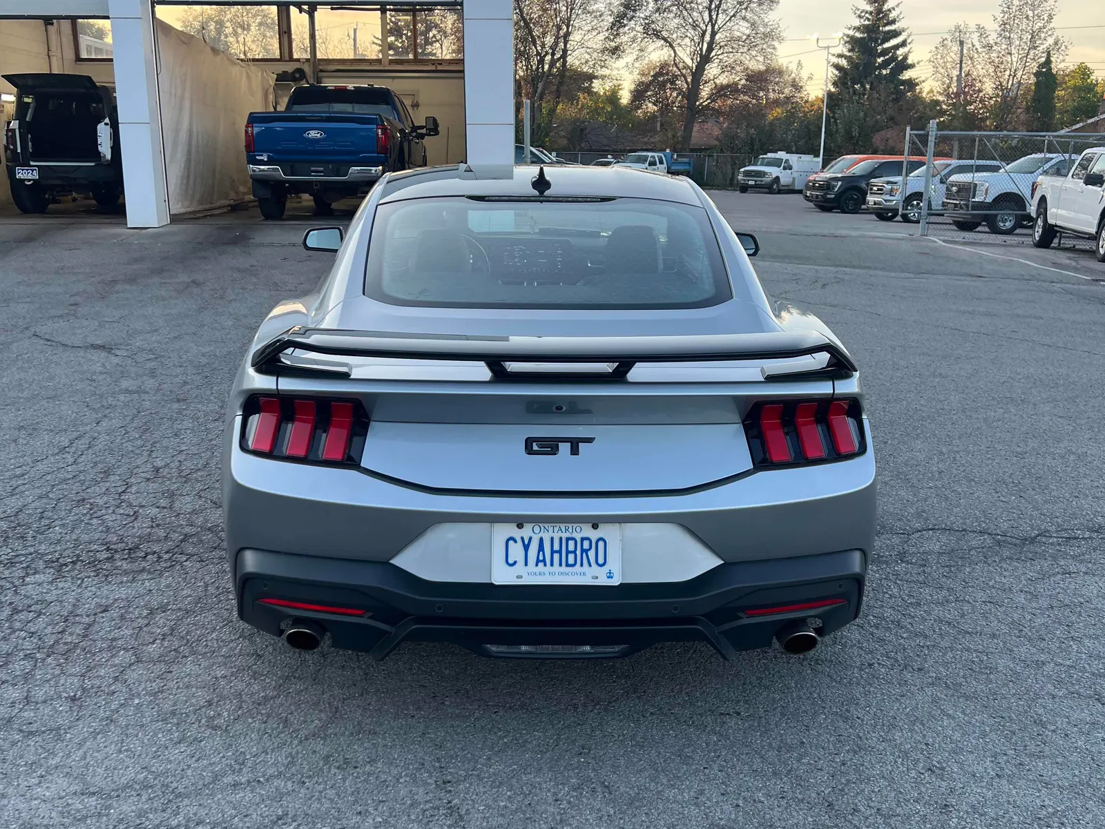 Back