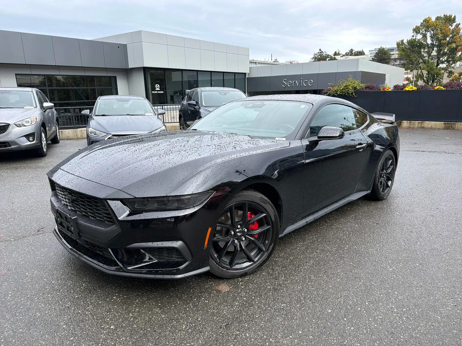 2025 Ford Mustang