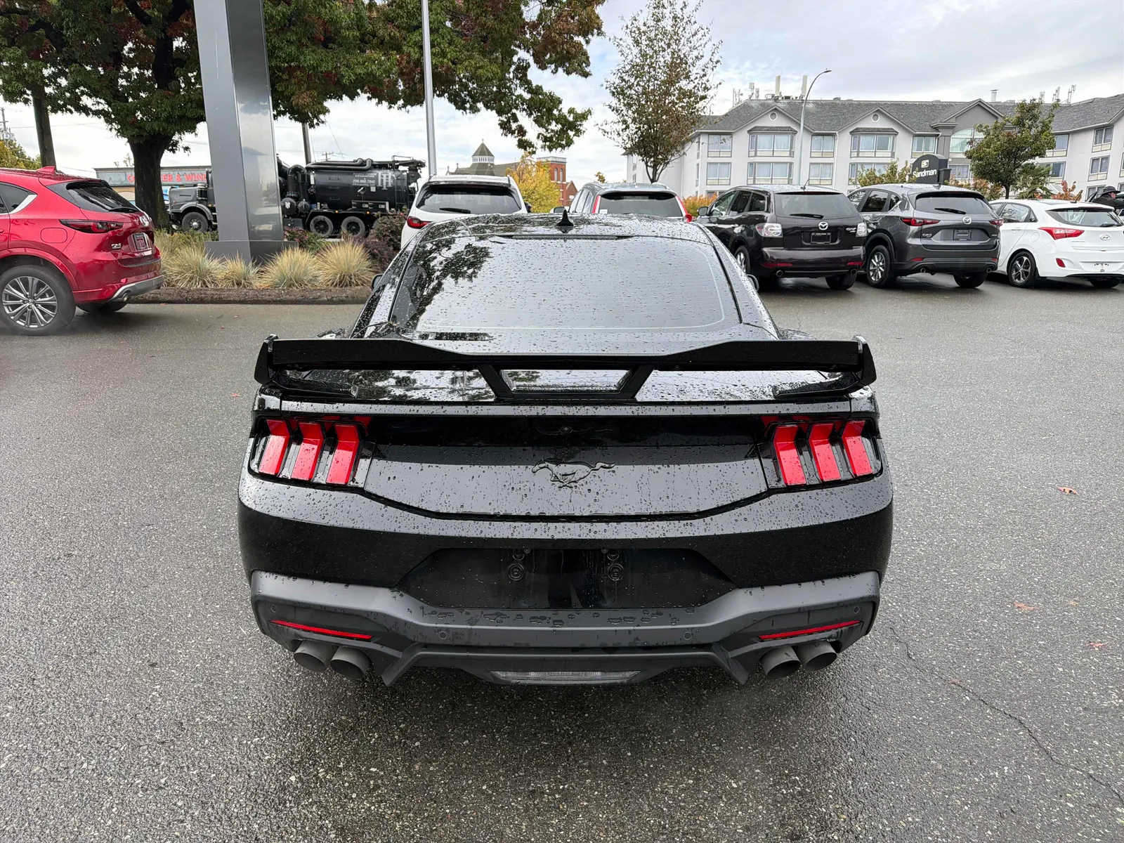 Back