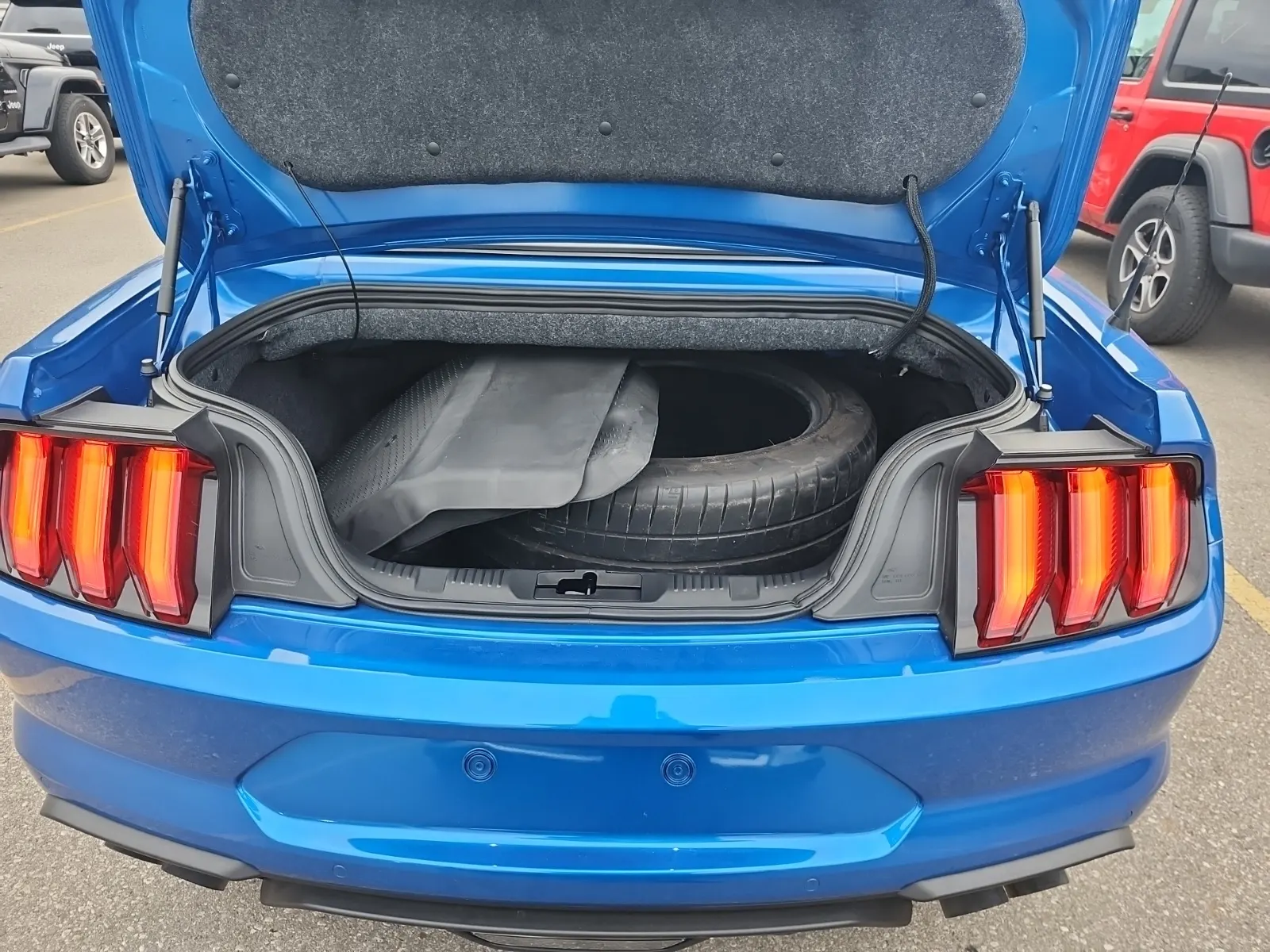 Cargo Area Photo
