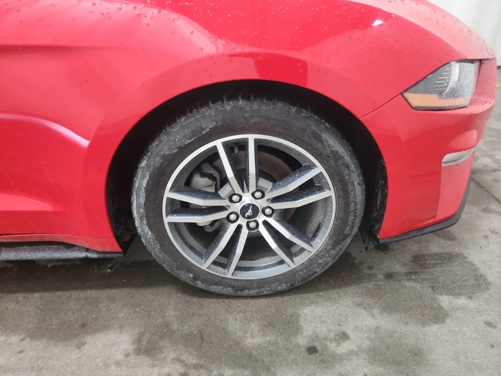 Right Front Wheel/Tire Photo
