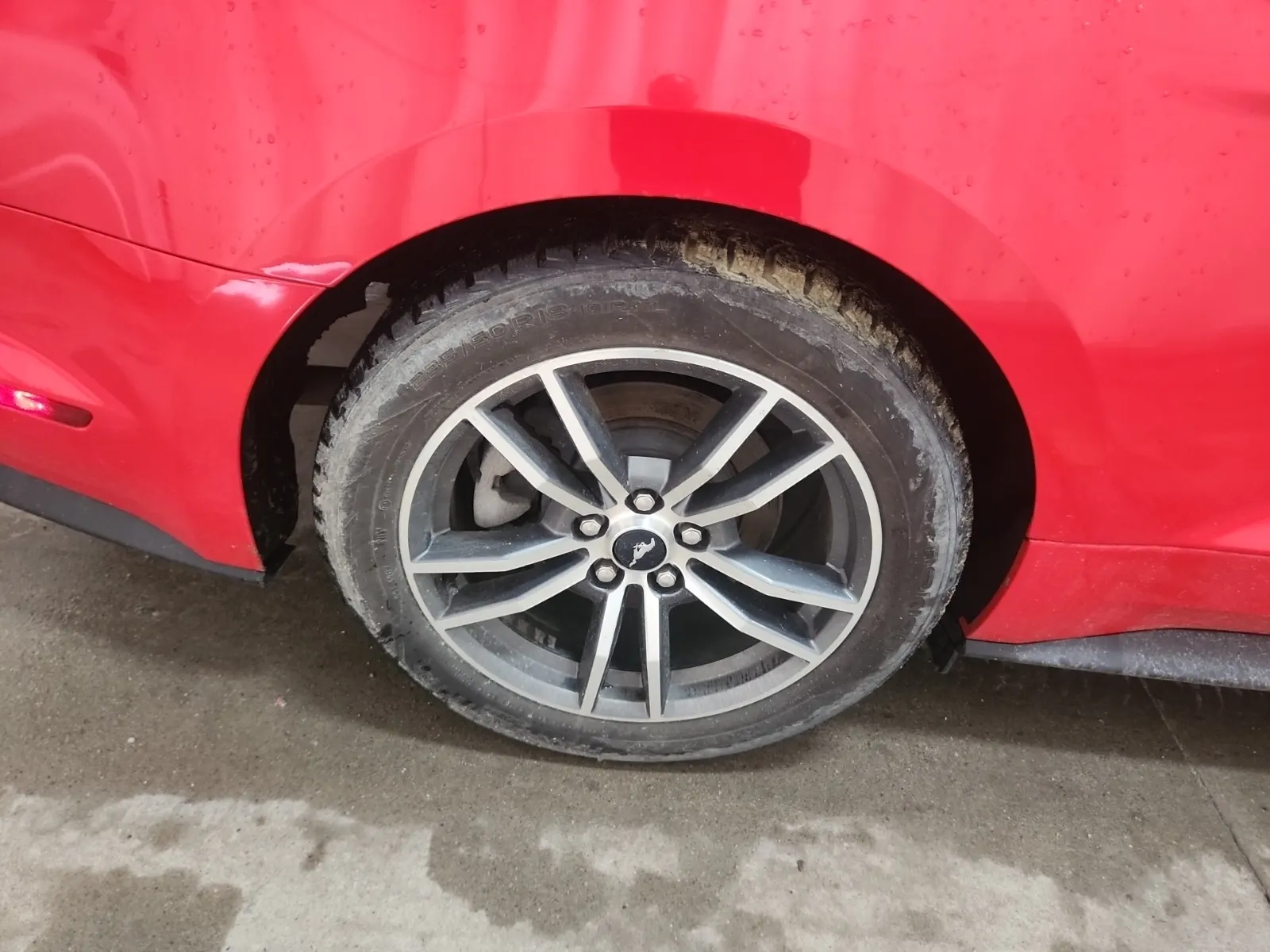Right Rear Wheel/Tire Photo