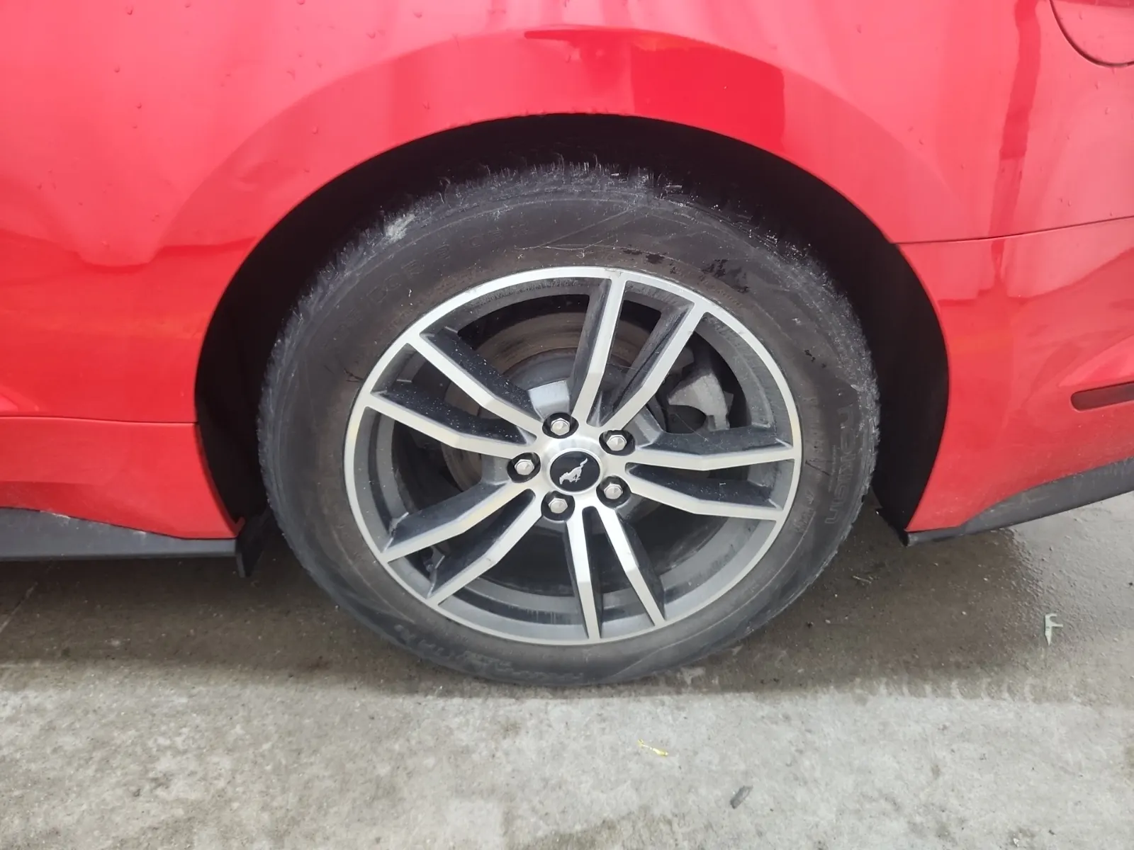 Left Rear Wheel/Tire Photo