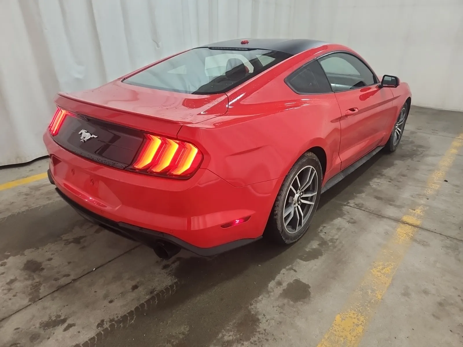 Passenger Rear 3/4 Photo