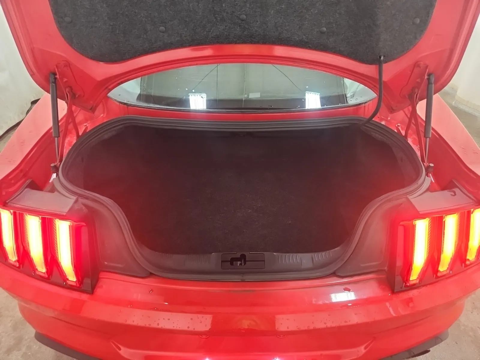 Cargo Area Photo