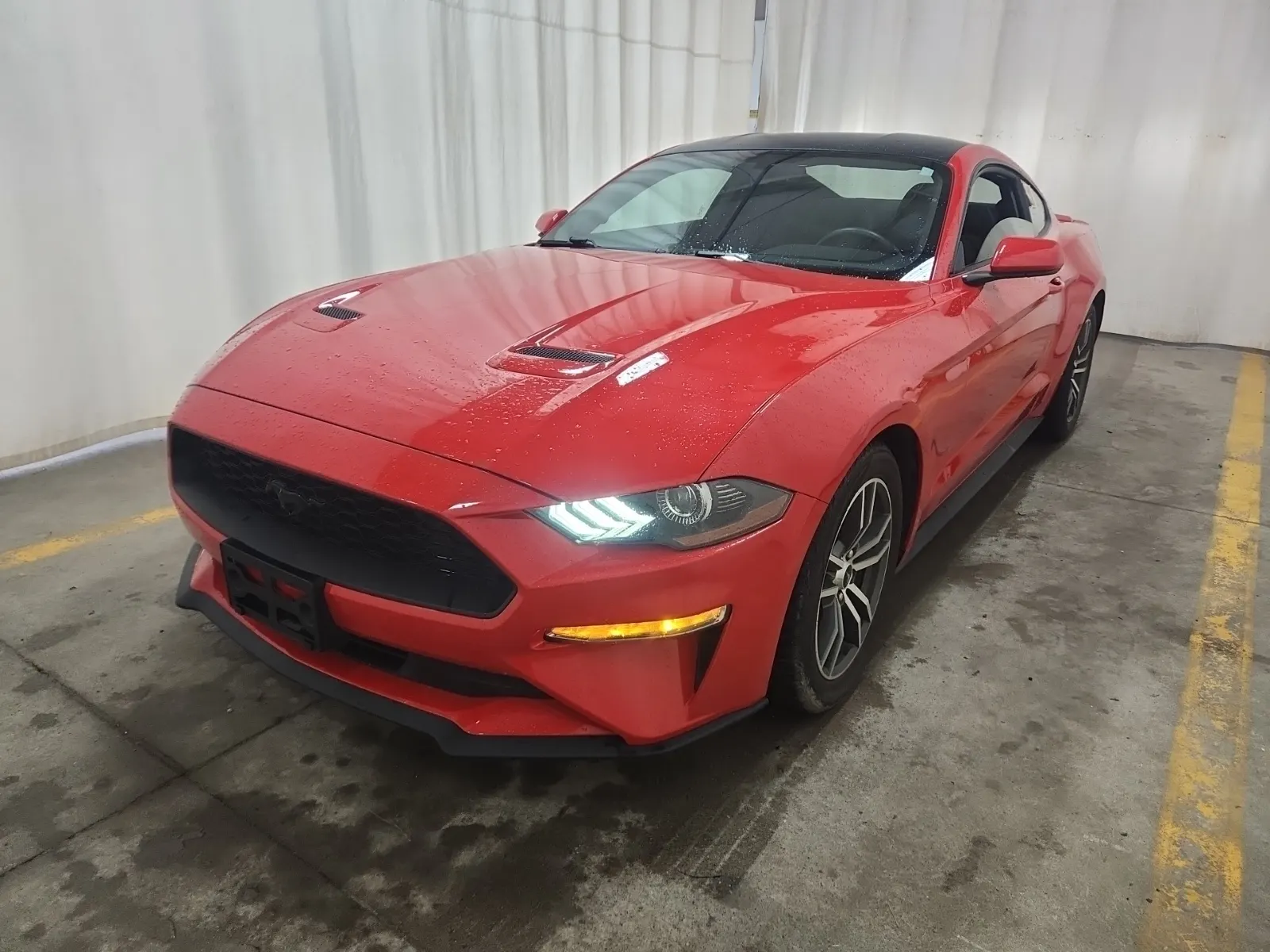 2019 Ford Mustang