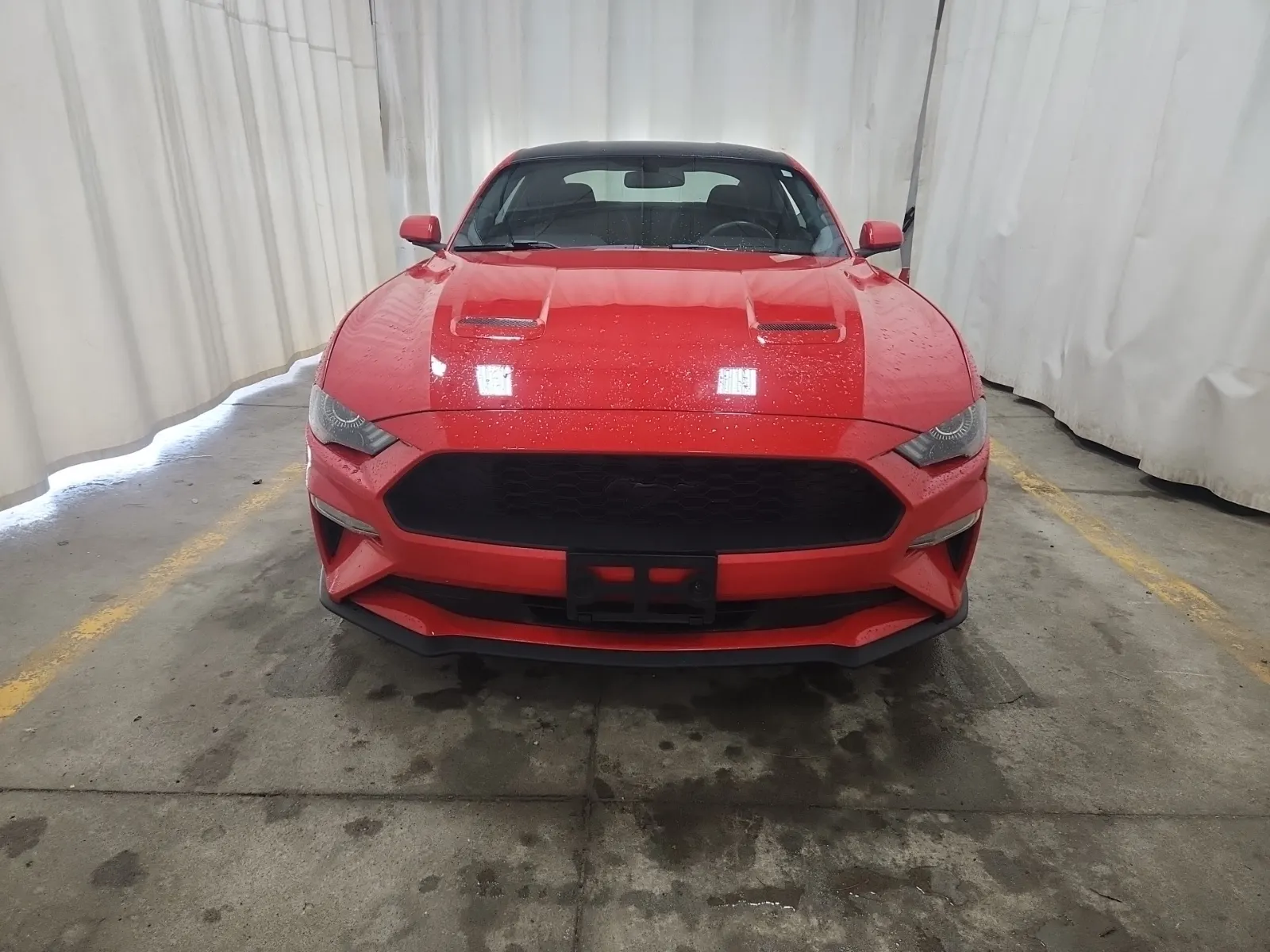 Full Front Photo