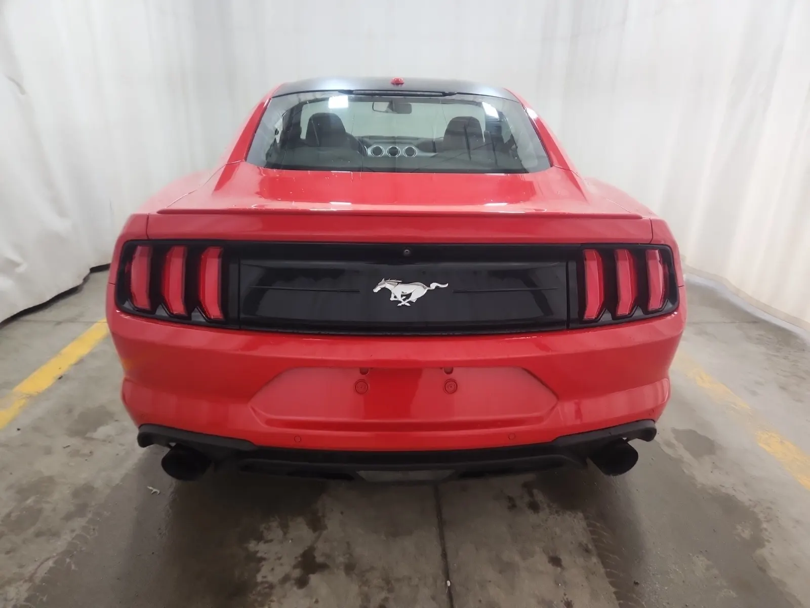 Full Rear Photo