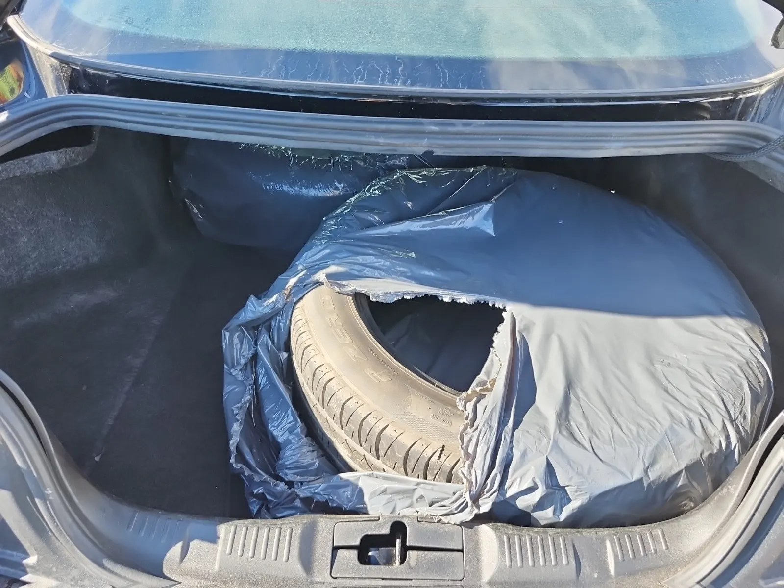 Cargo Area Photo