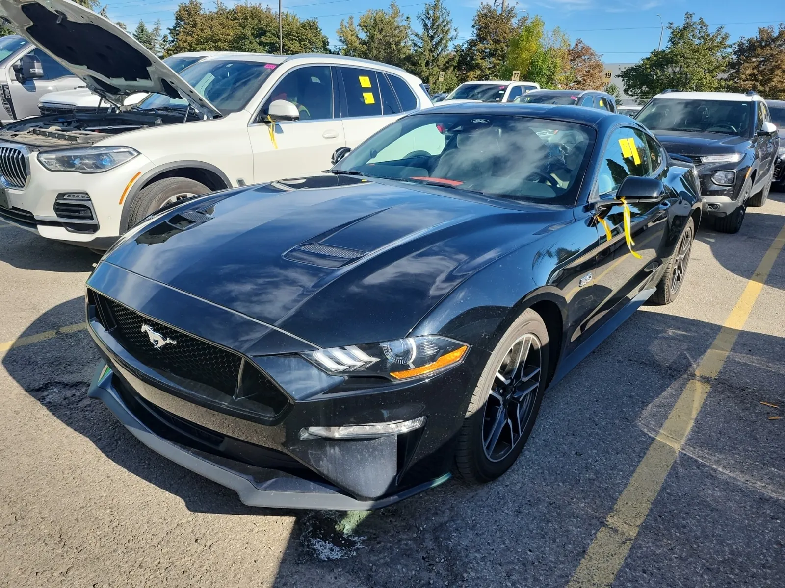 2022 Ford Mustang