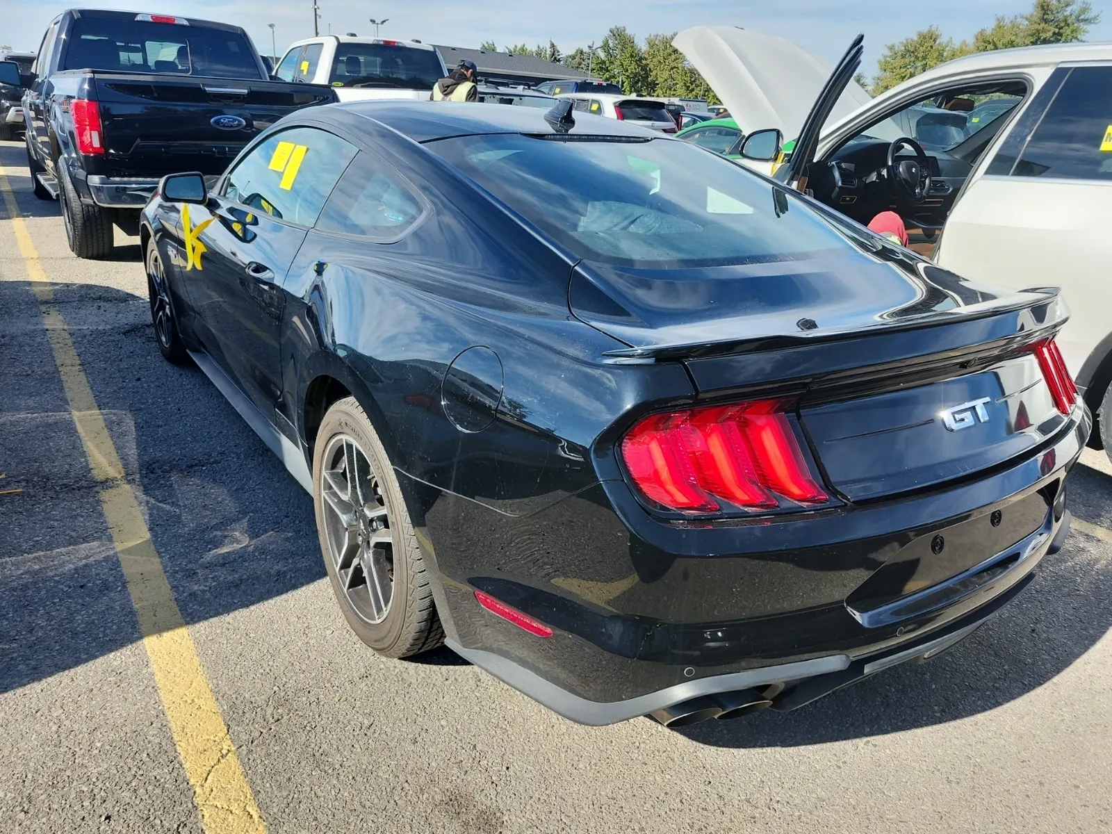 Driver Rear 3/4 Photo