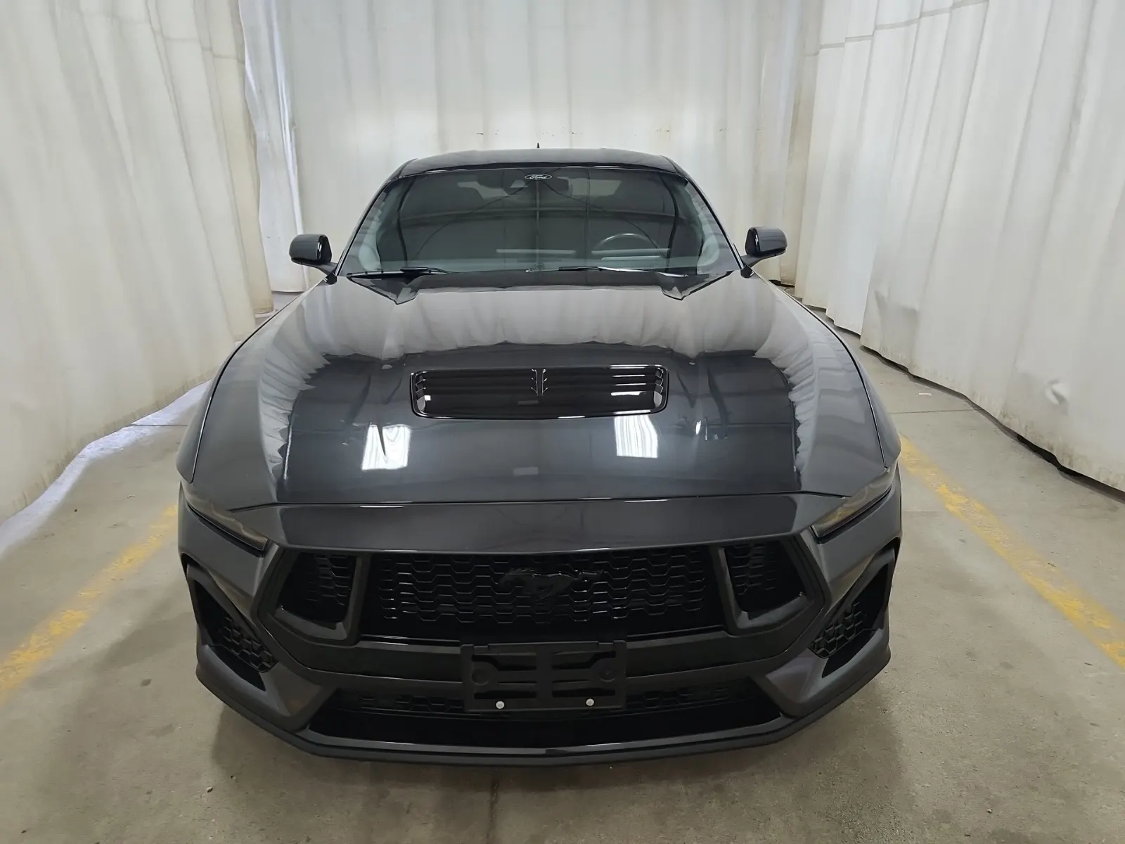 Full Front Photo