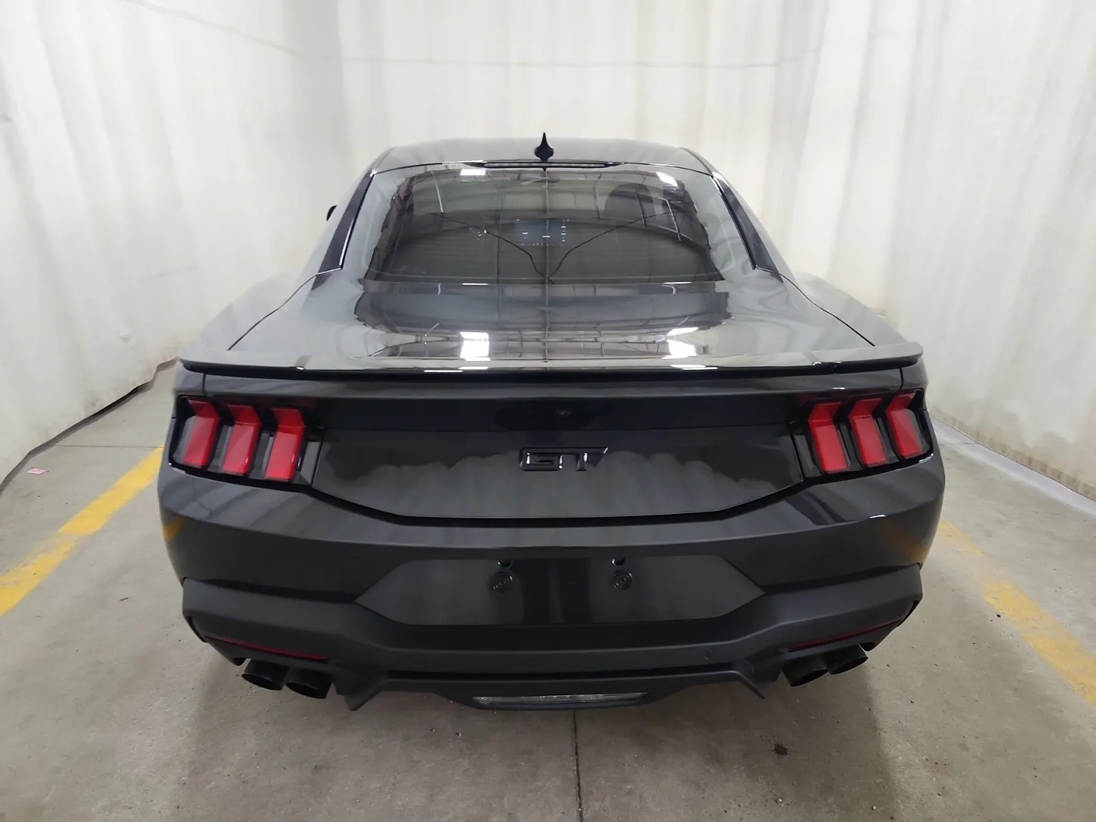 Full Rear Photo