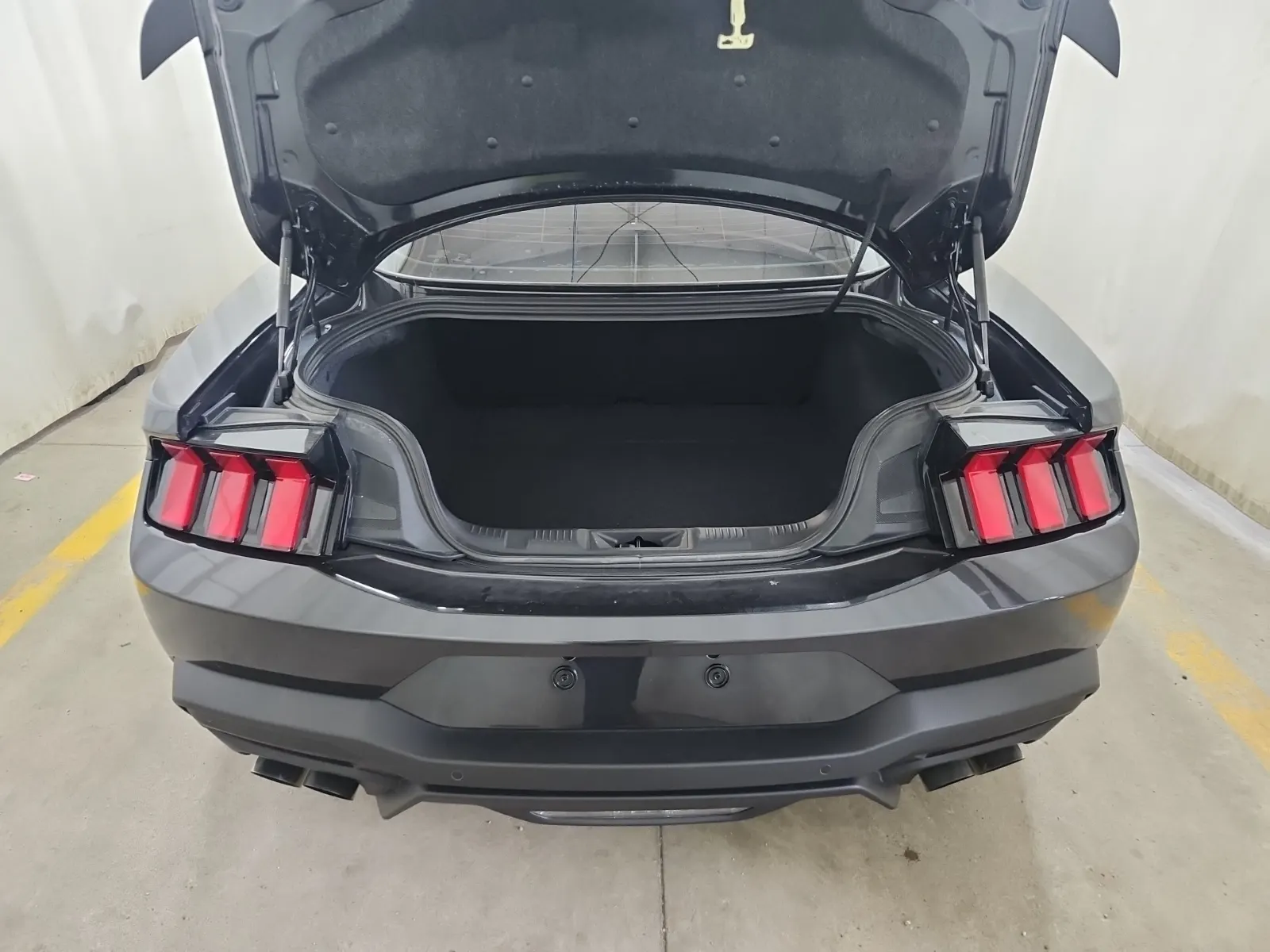 Cargo Area Photo