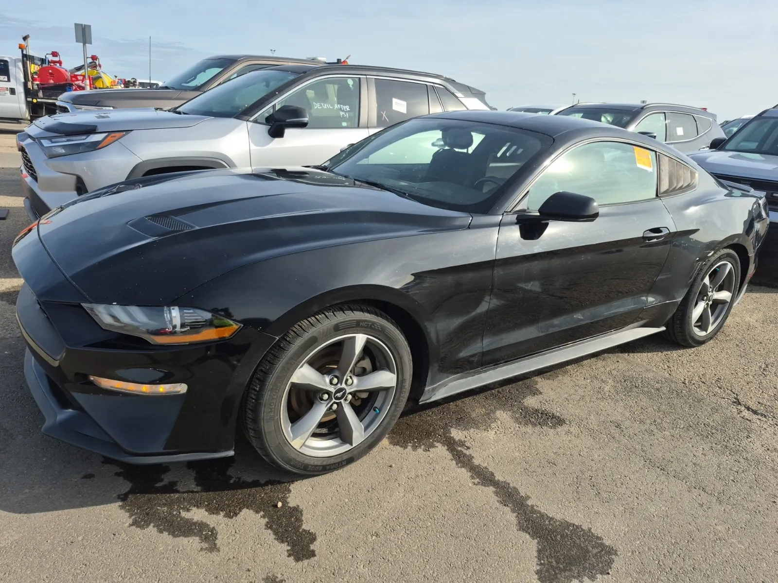 2019 Ford Mustang