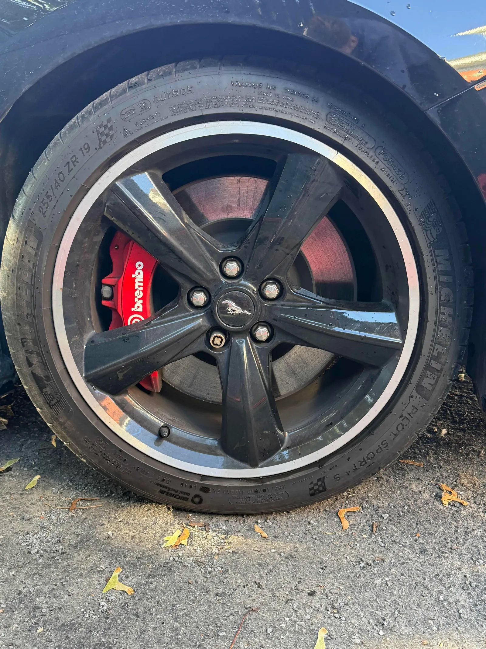 Additional Photo