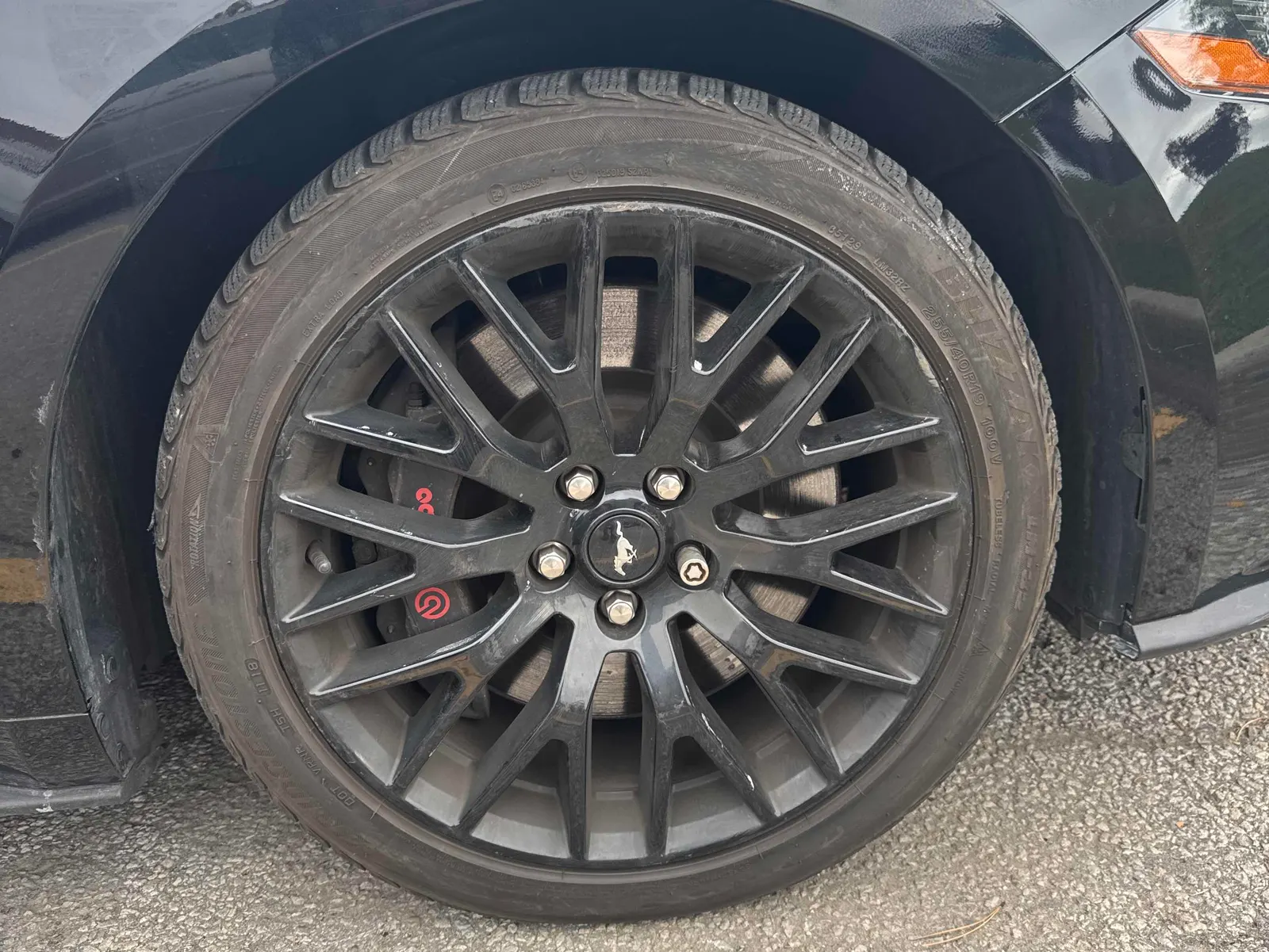 Tire