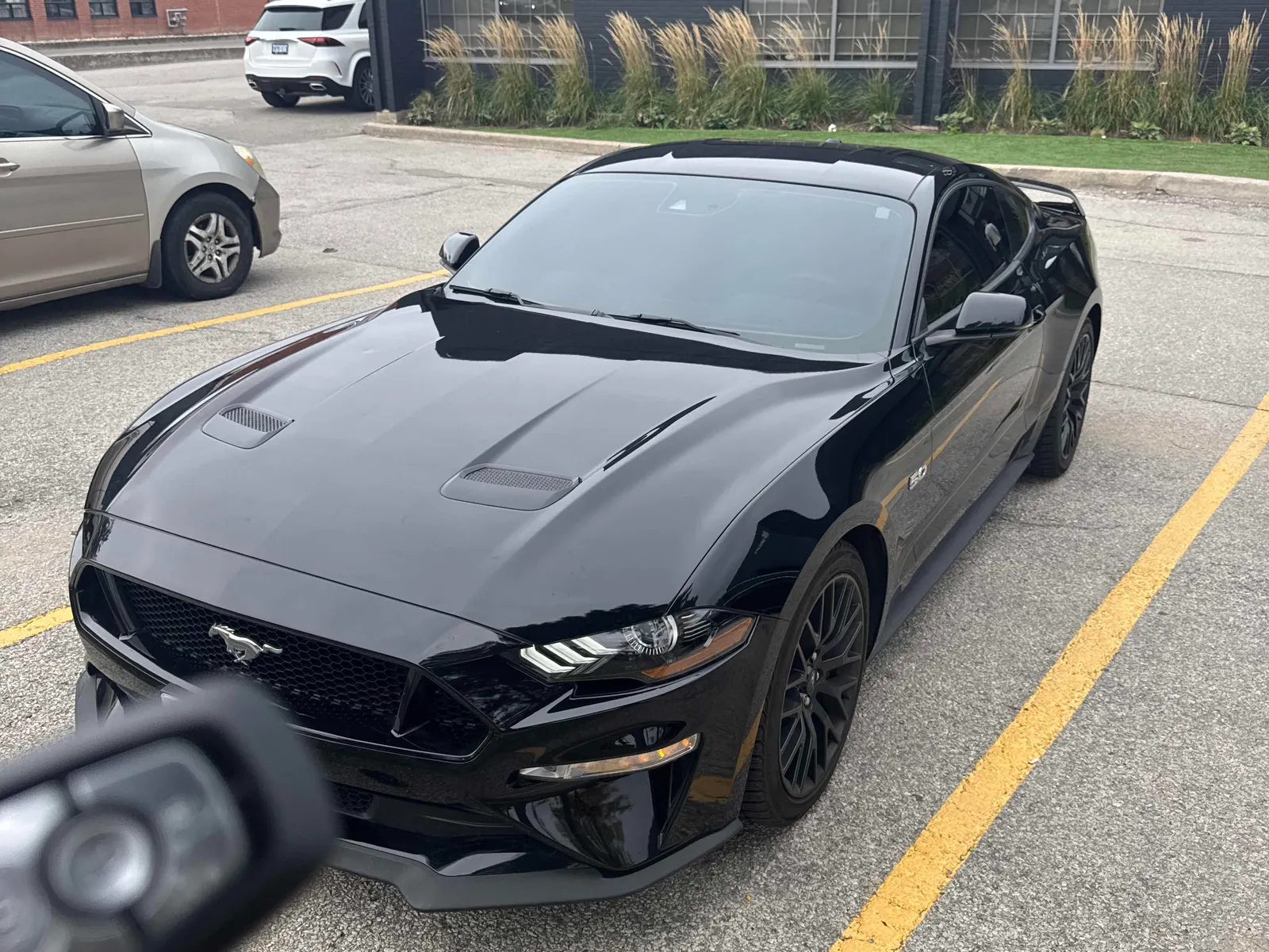 2019 Ford Mustang