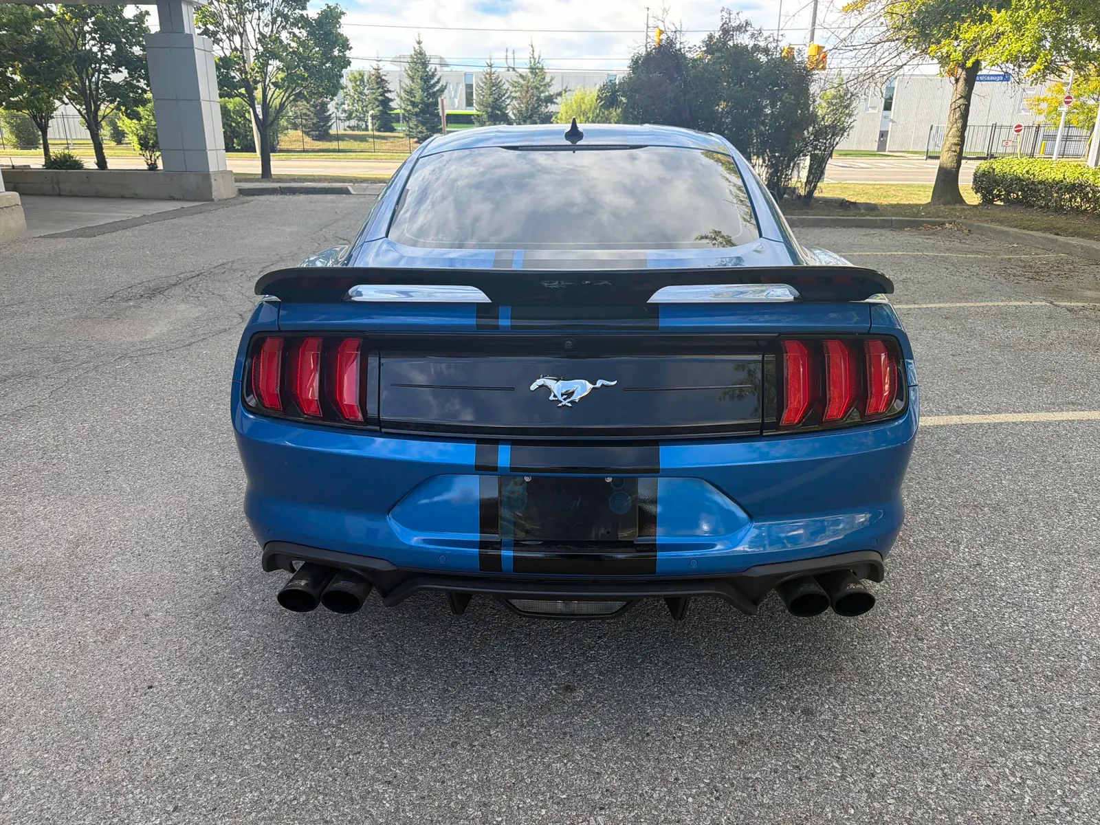 Back