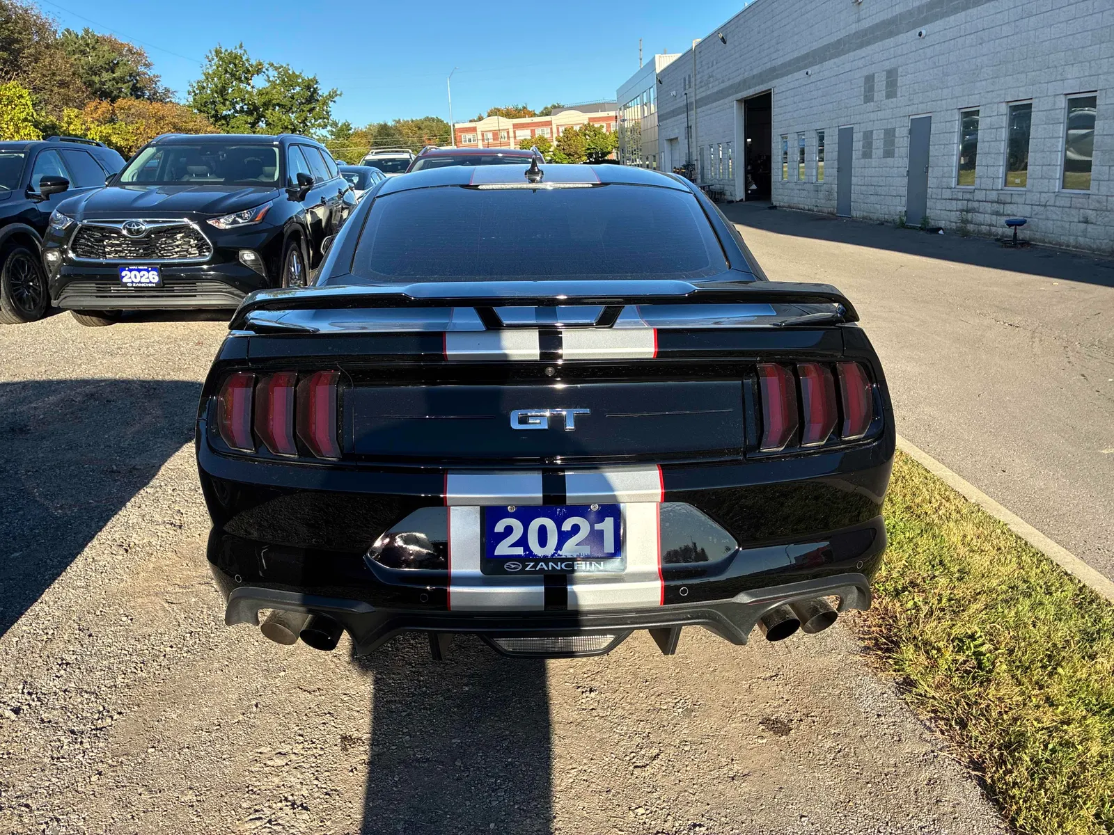Back