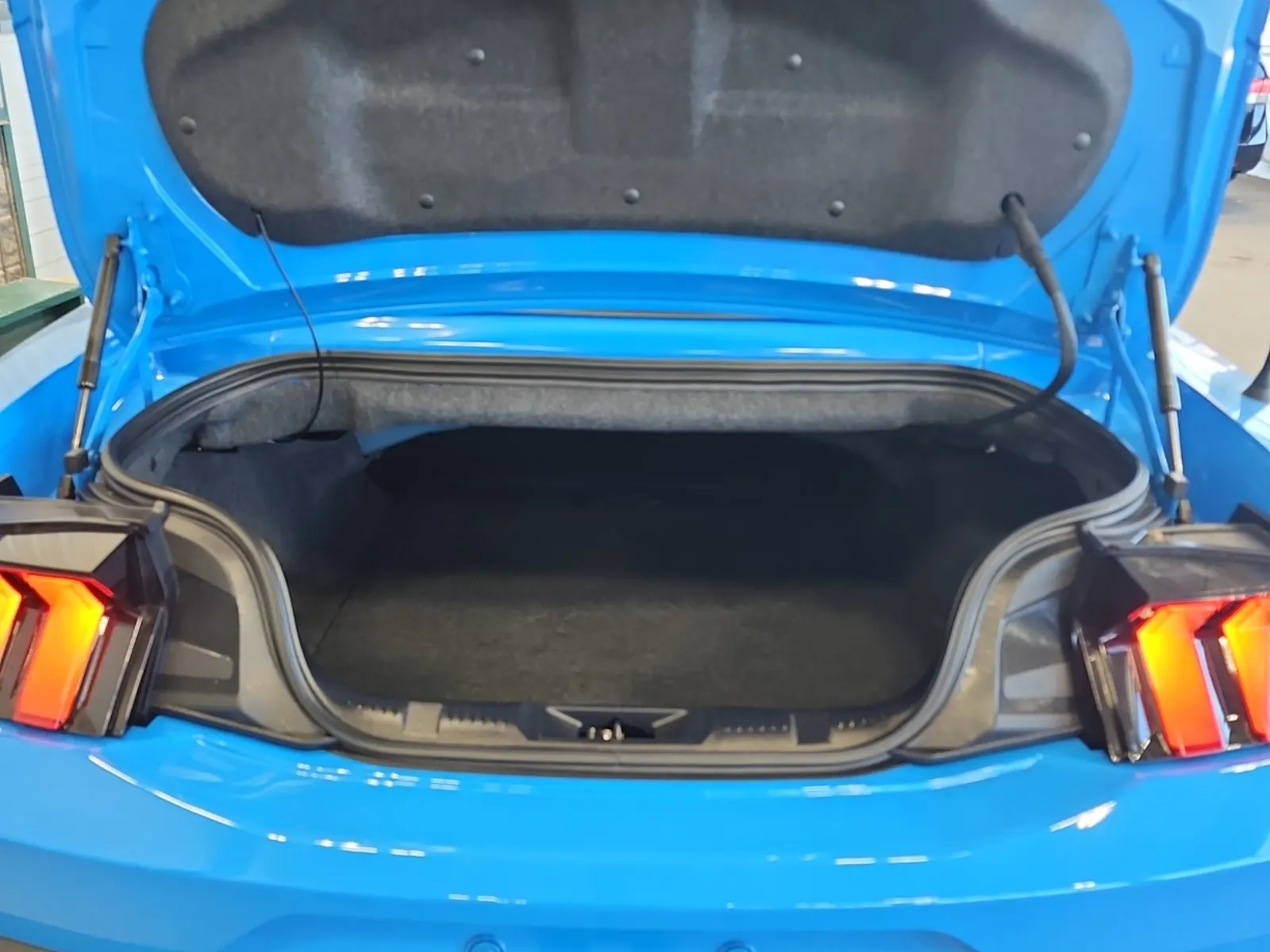 Cargo Area Photo