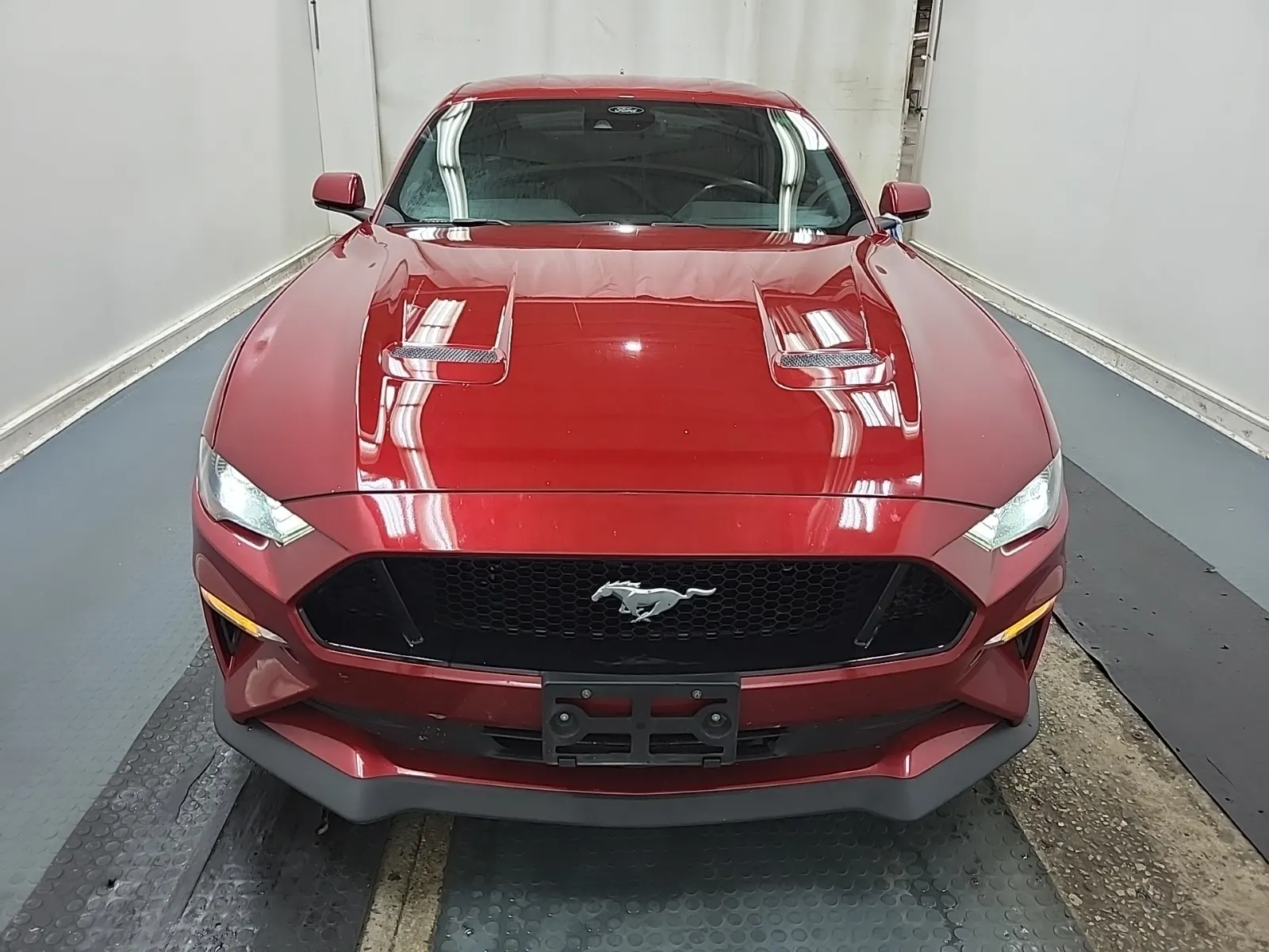 Full Front Photo