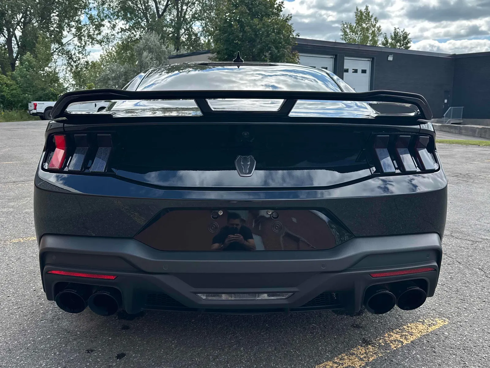 Back
