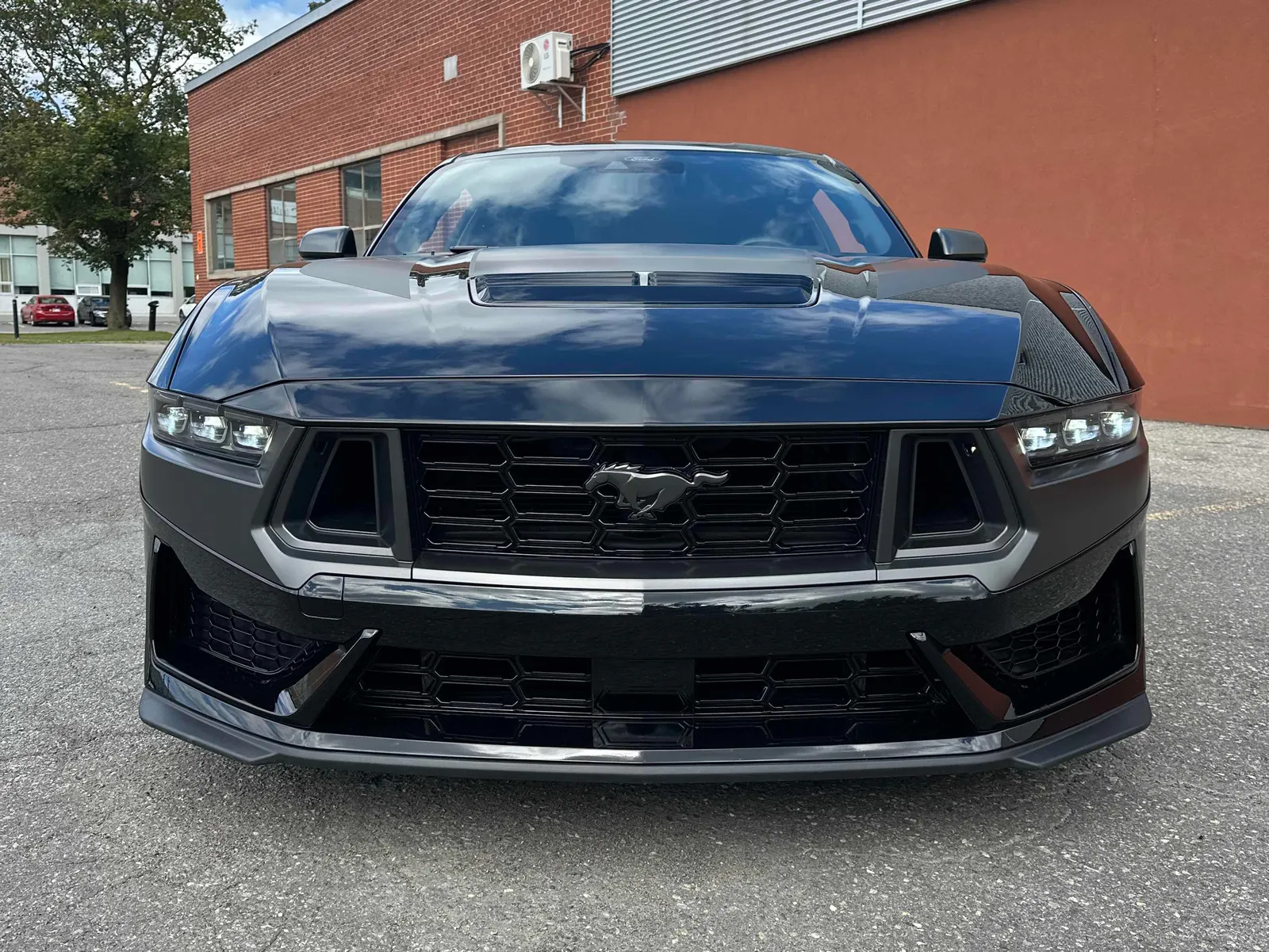 Front