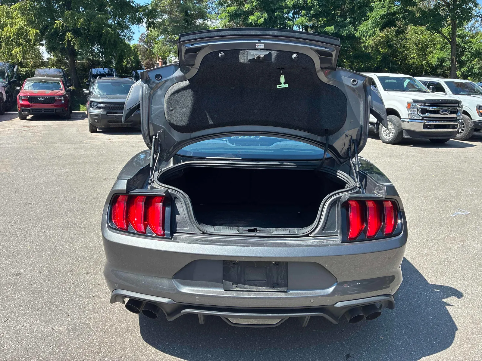 Additional Photo