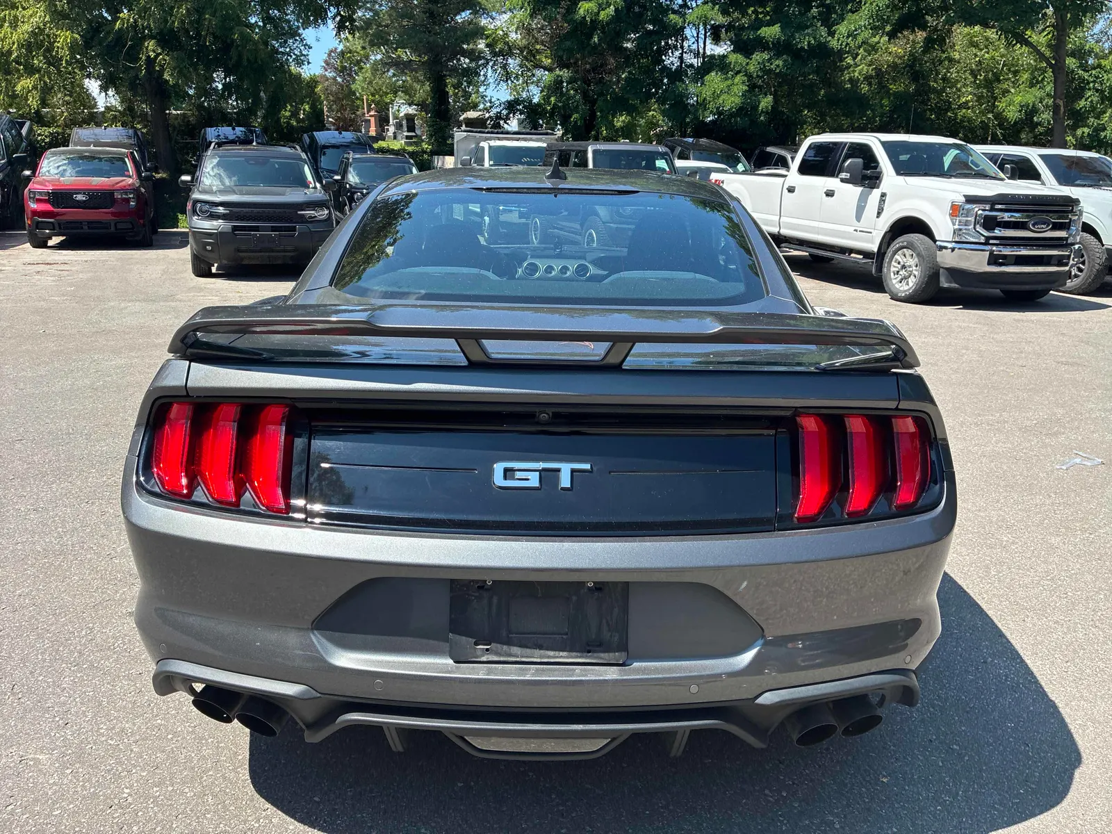 Back