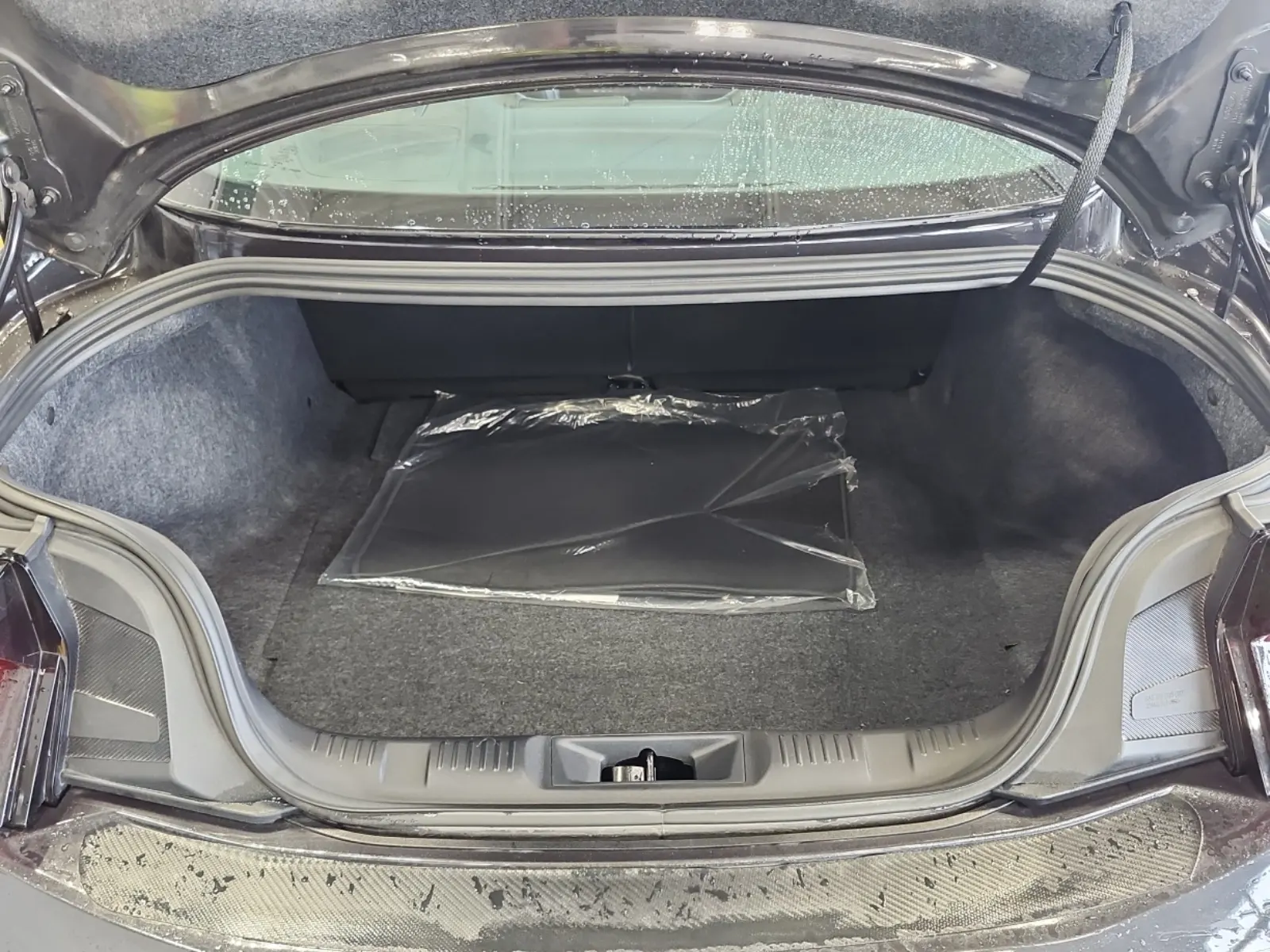 Cargo Area Photo