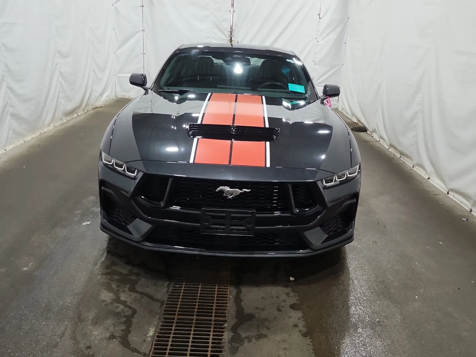Full Front Photo