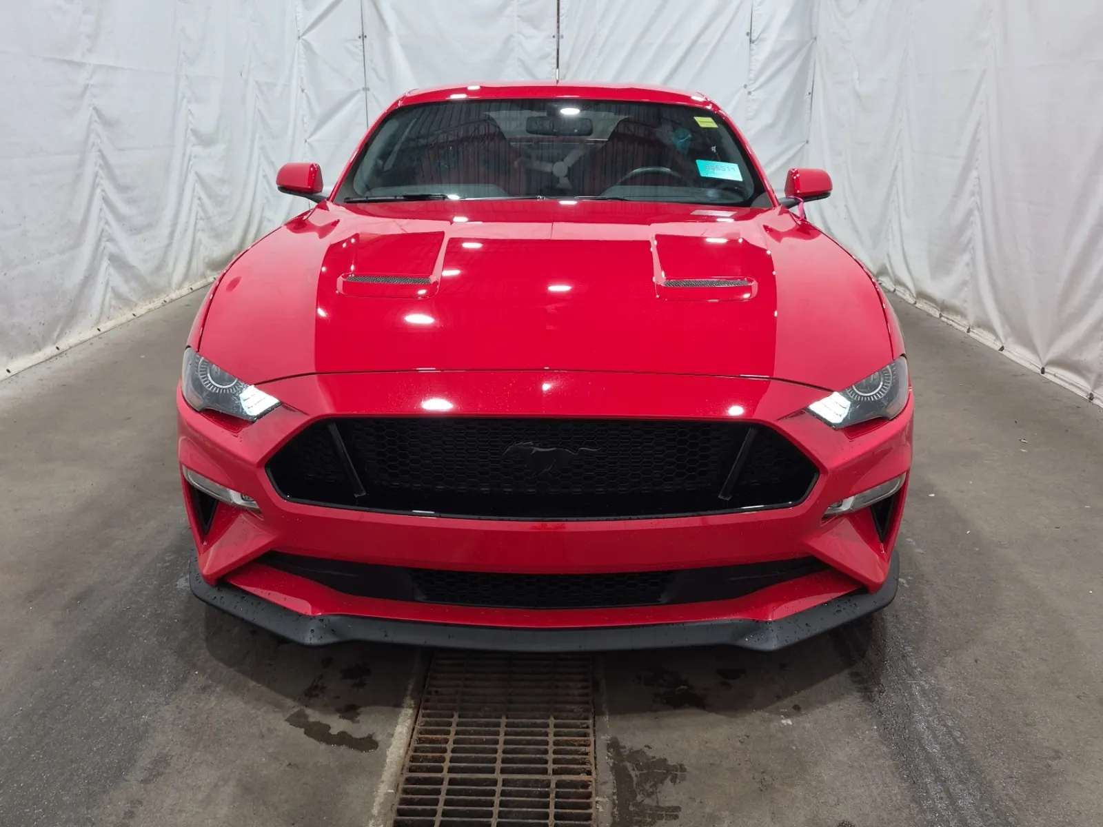 Full Front Photo