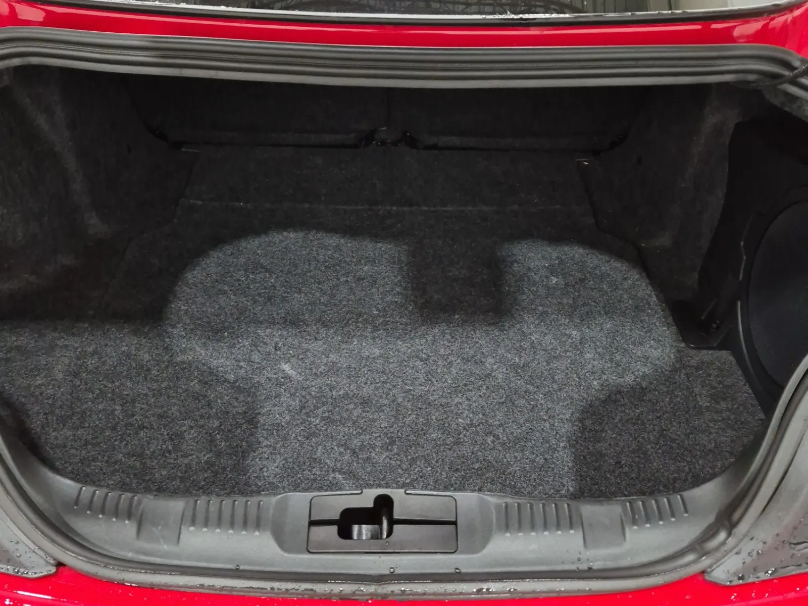 Cargo Area Photo
