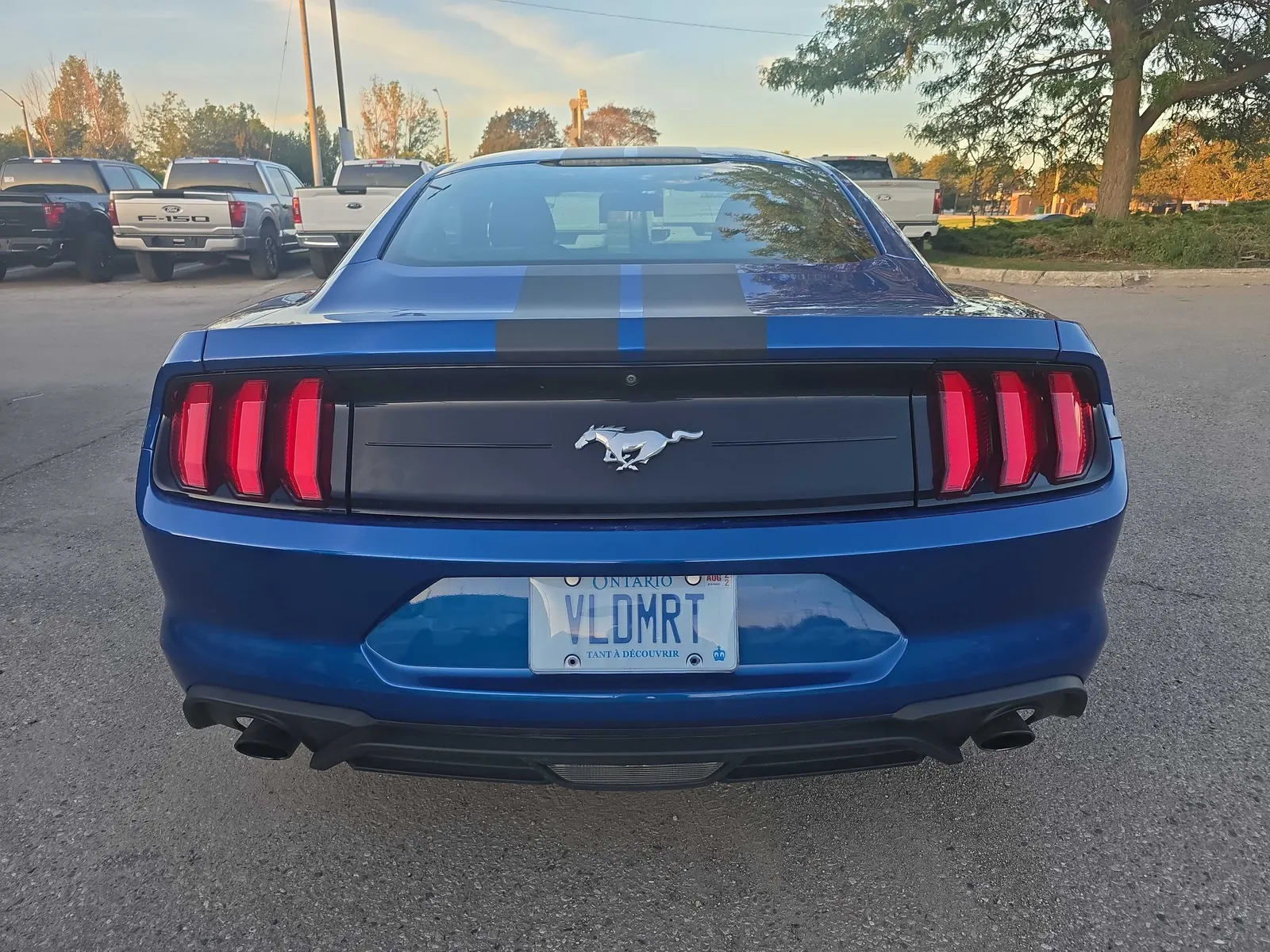 Back