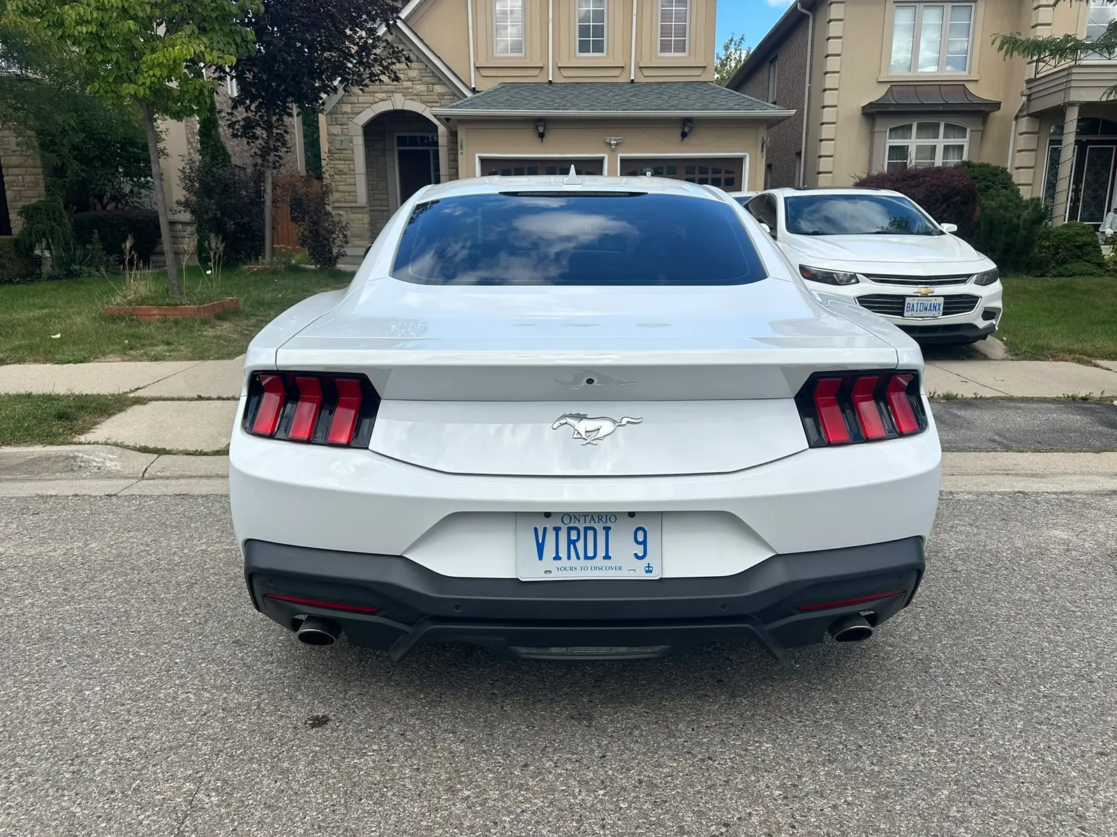 Back