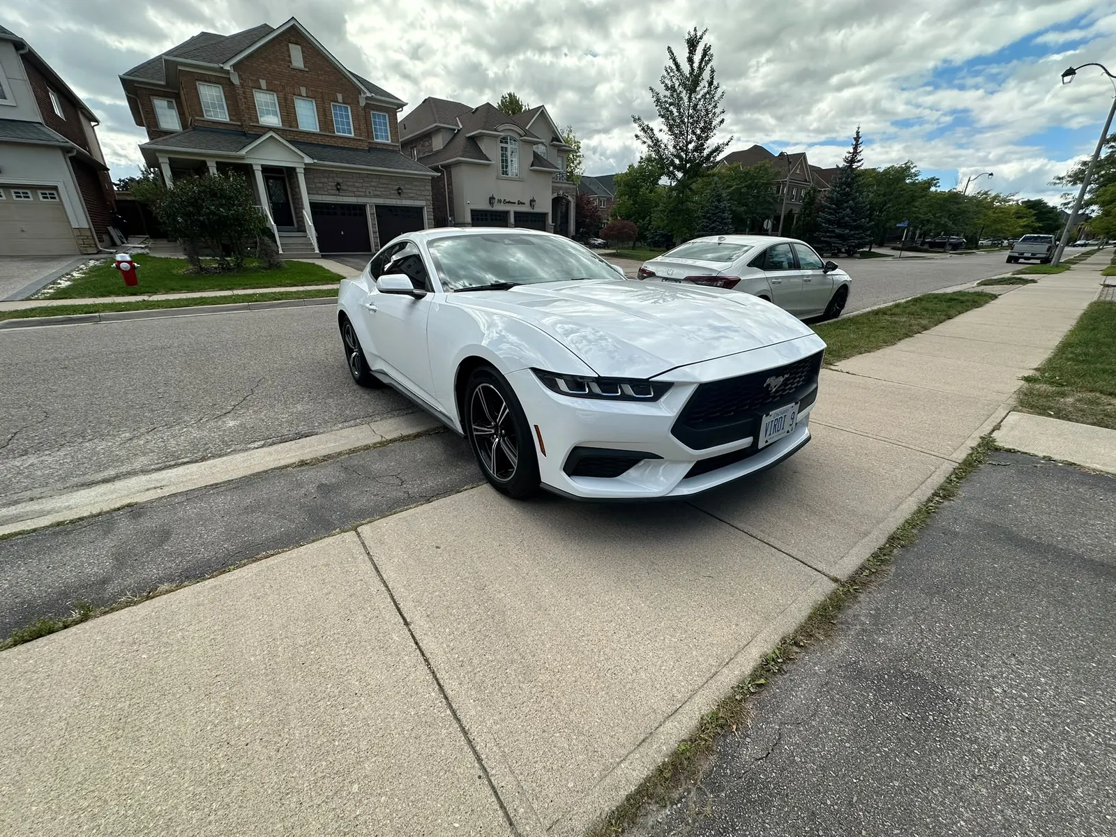 Additional Photo