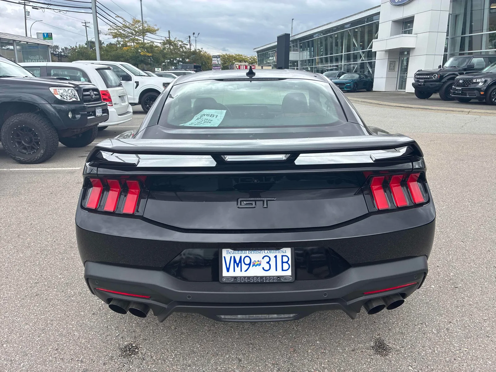 Back