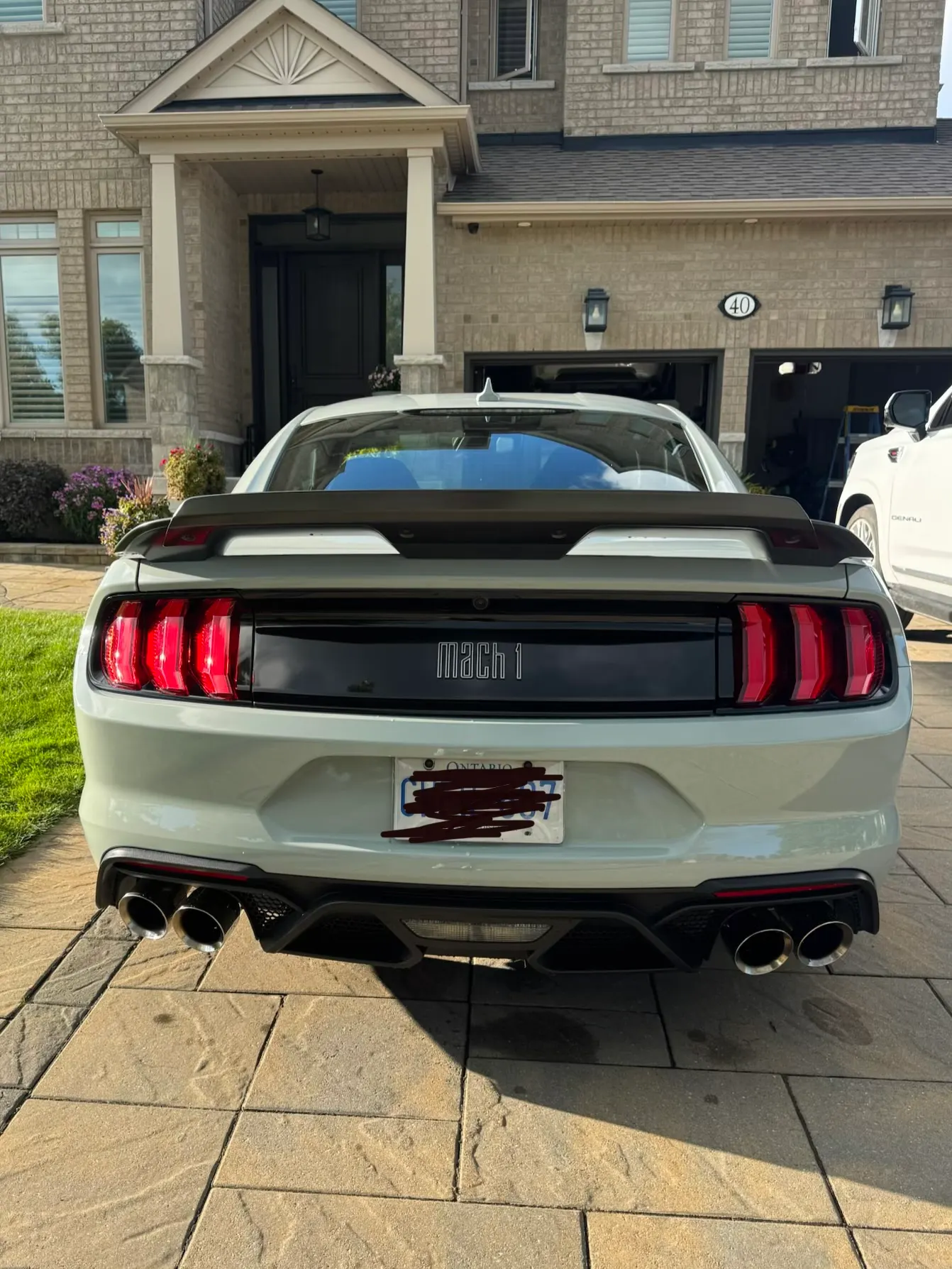 Back