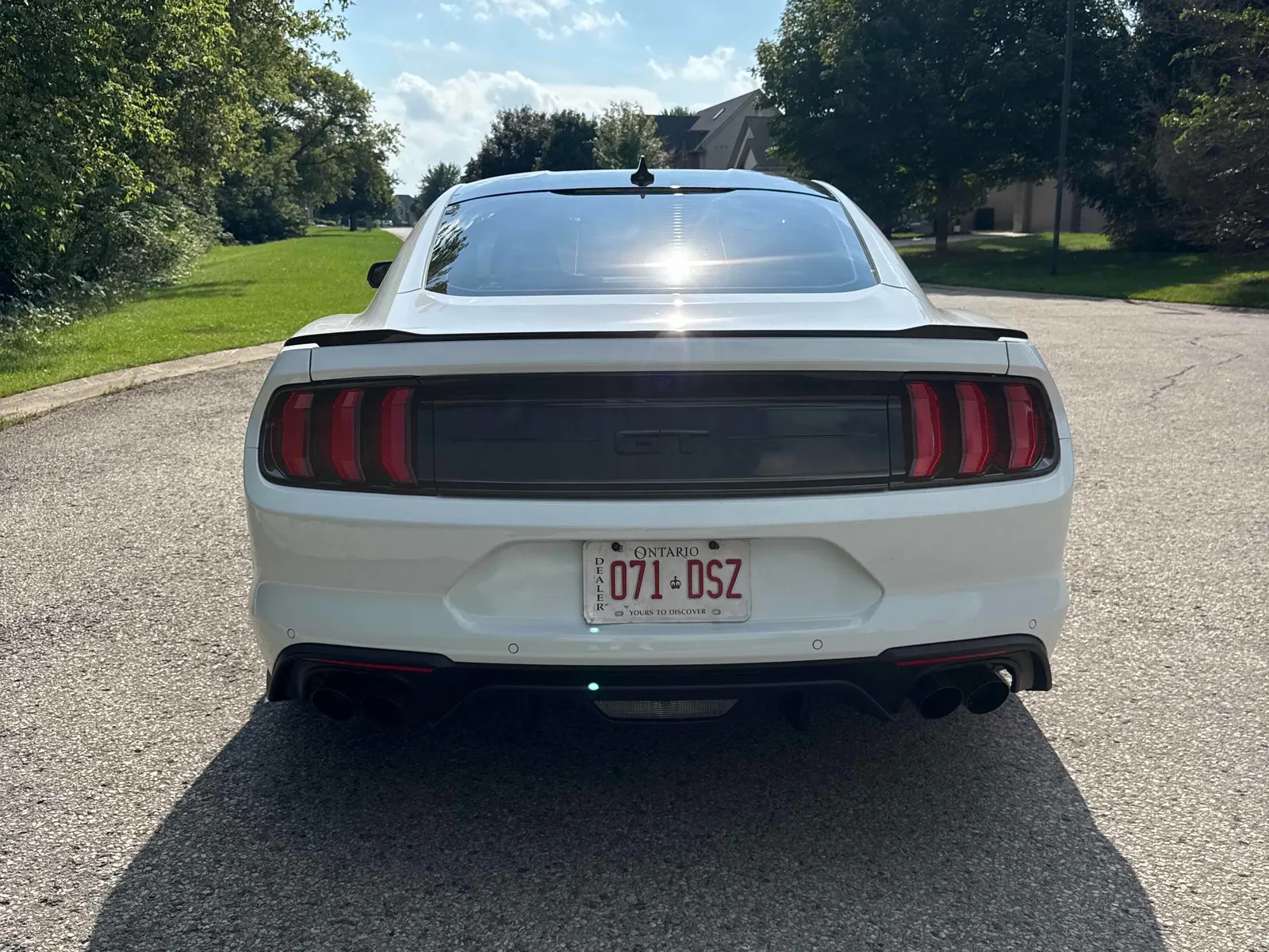 Back