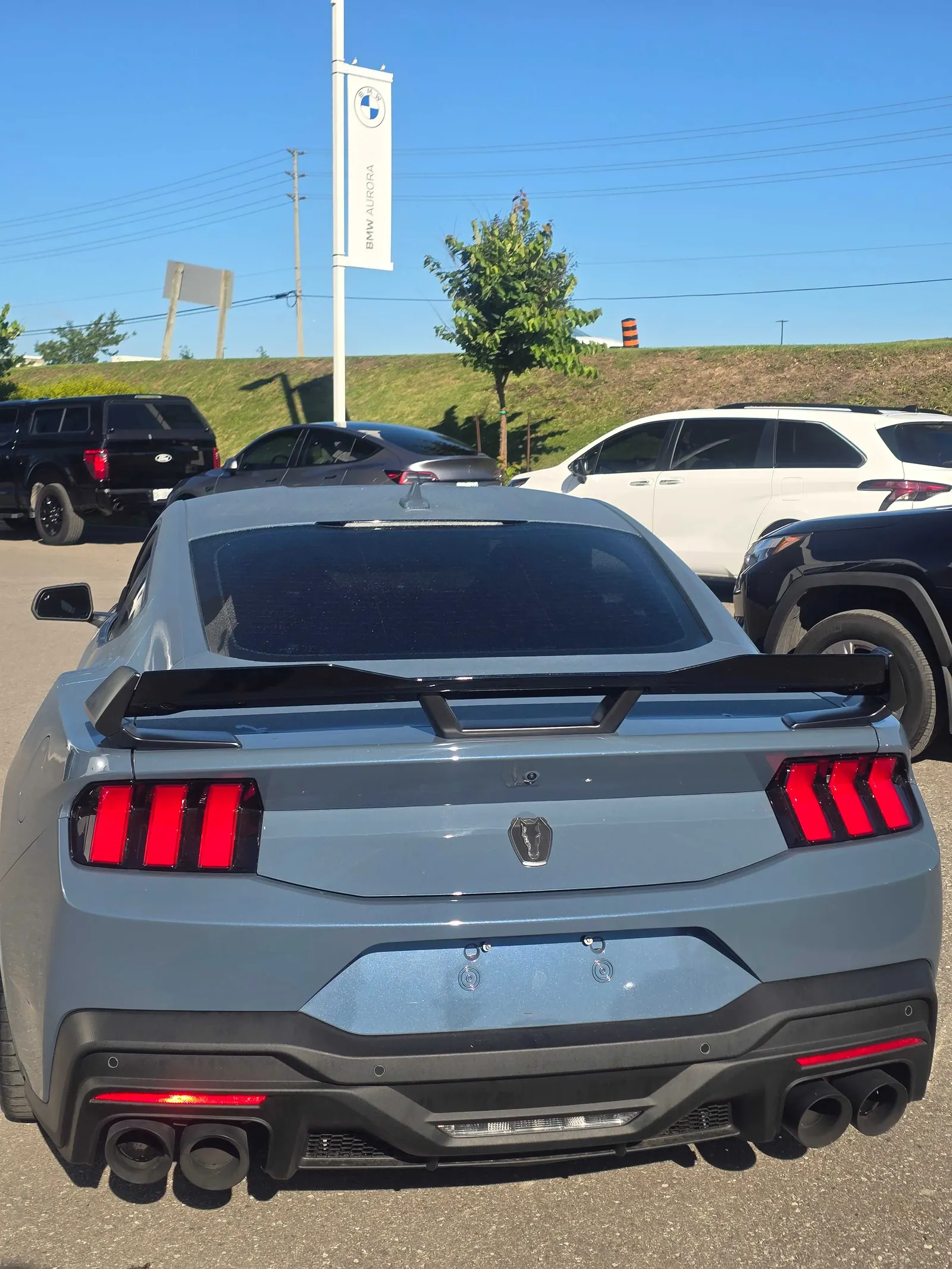 Back