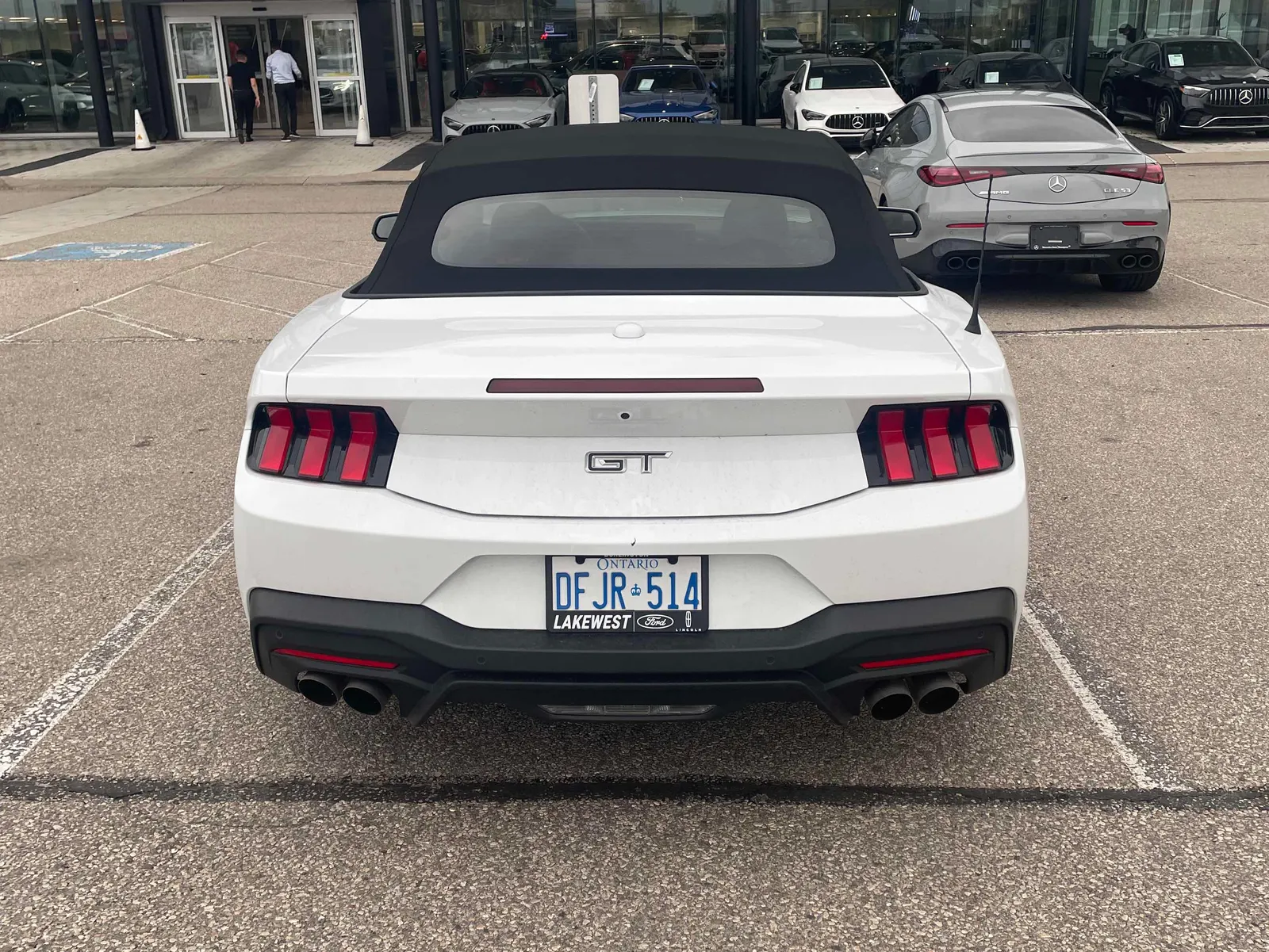 Back