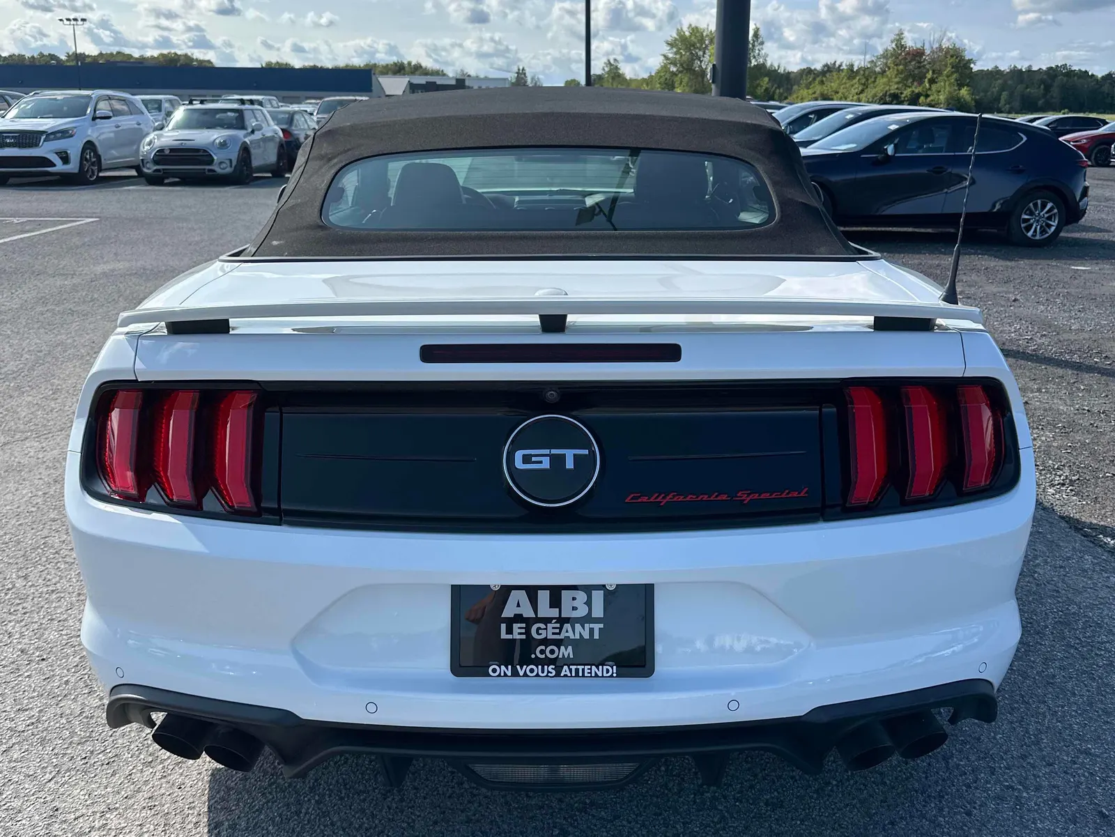 Back