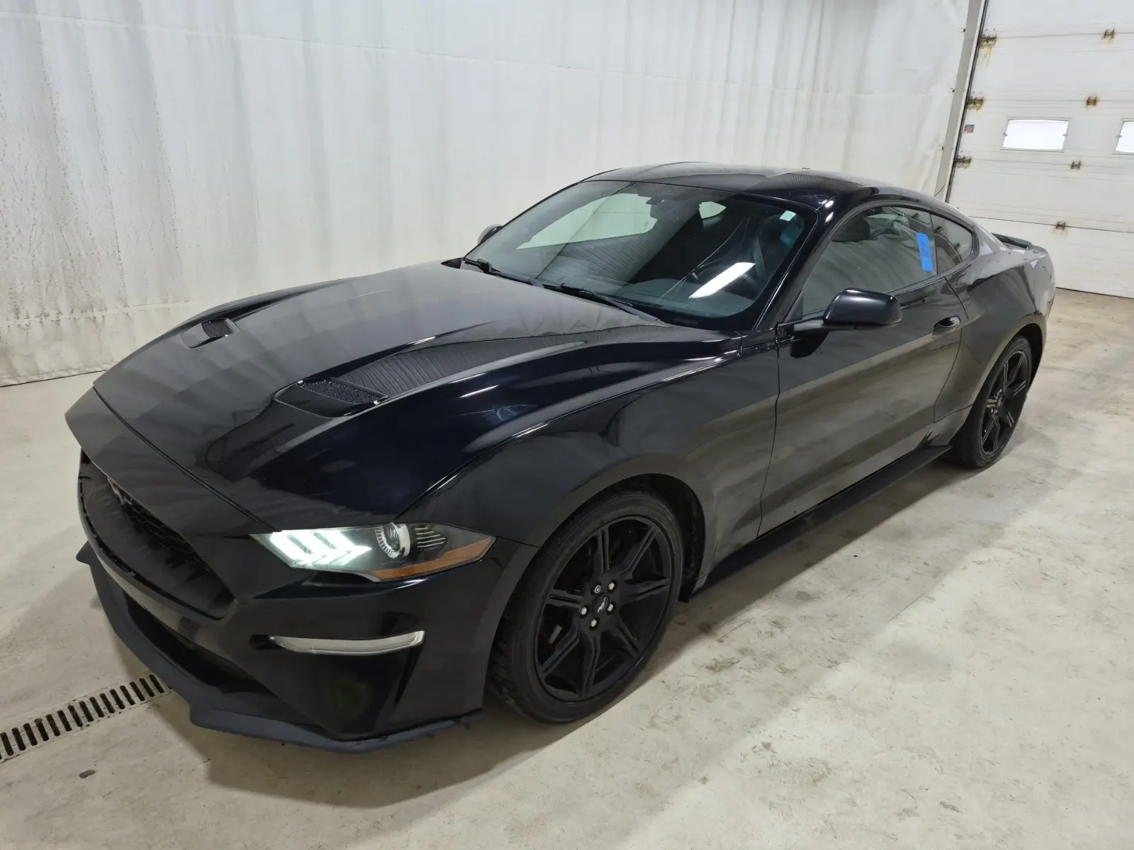 2019 Ford Mustang